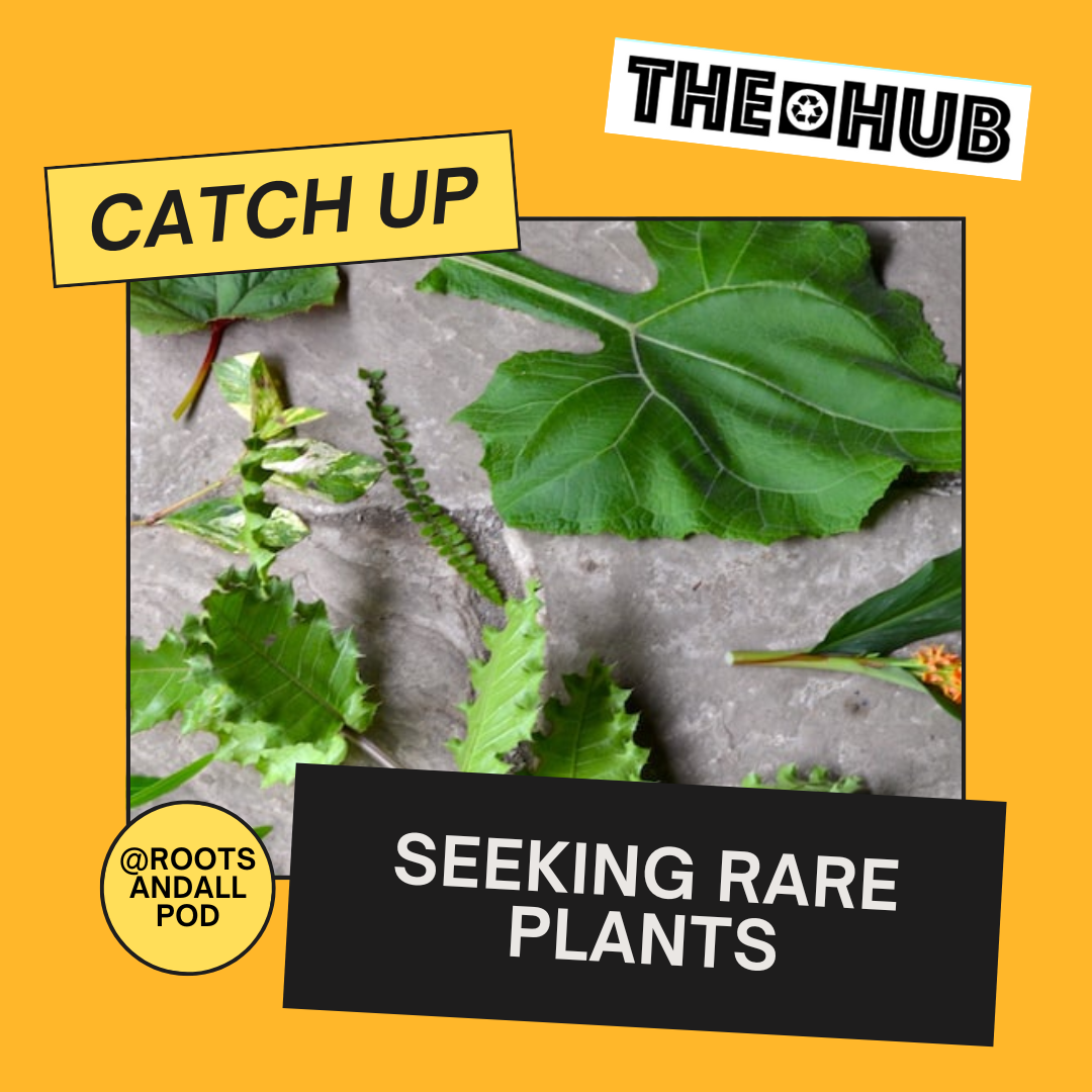 Seeking Rare Plants