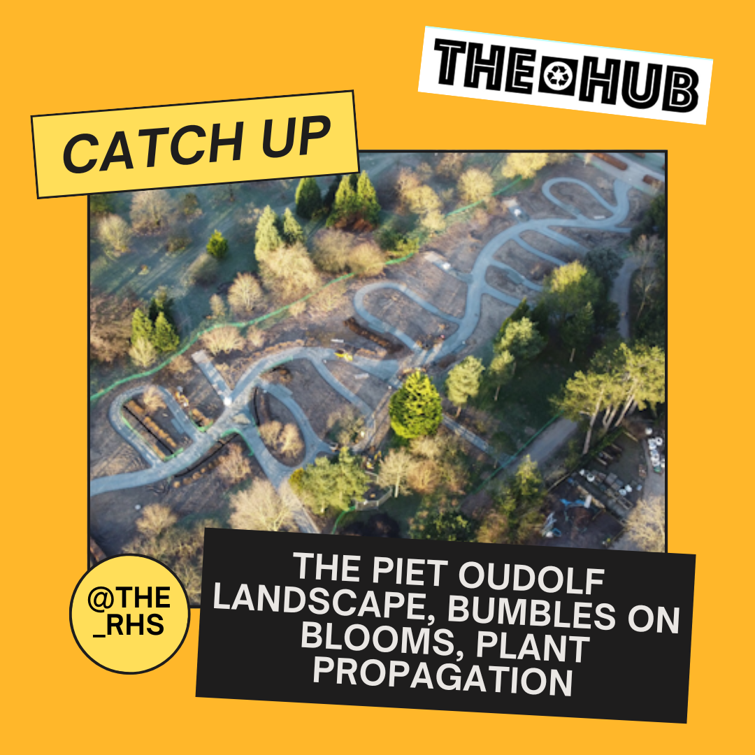 The Piet Oudolf Landscape, Bumbles on Blooms, Plant Propagation