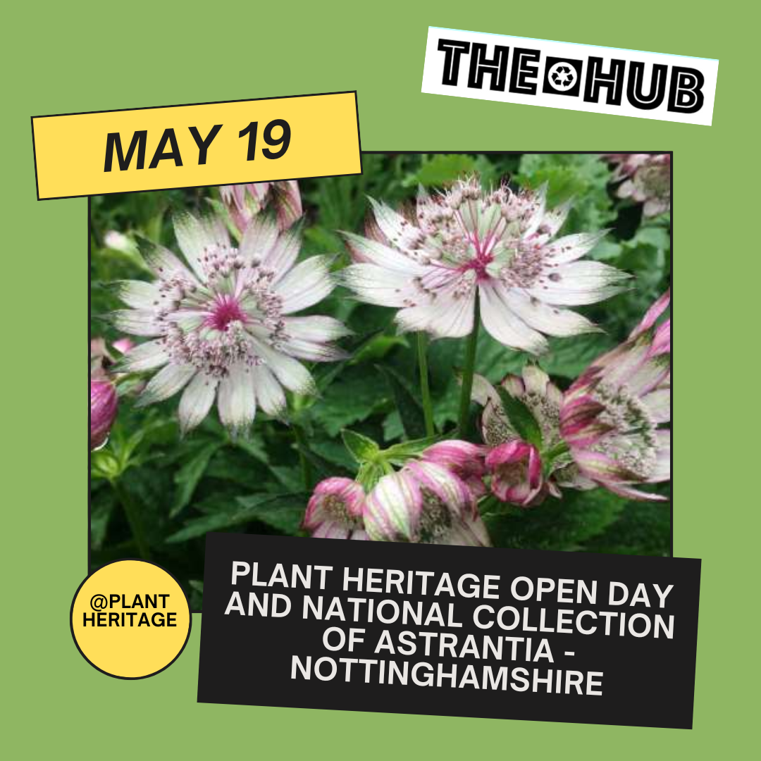 Plant Heritage Open day and National Collection of Astrantia - Nottinghamshire