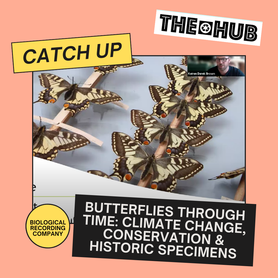 Butterflies Through Time: Climate Change, Conservation & Historic Specimens