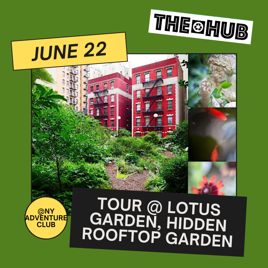 Tour @ Lotus Garden, Hidden Rooftop Garden