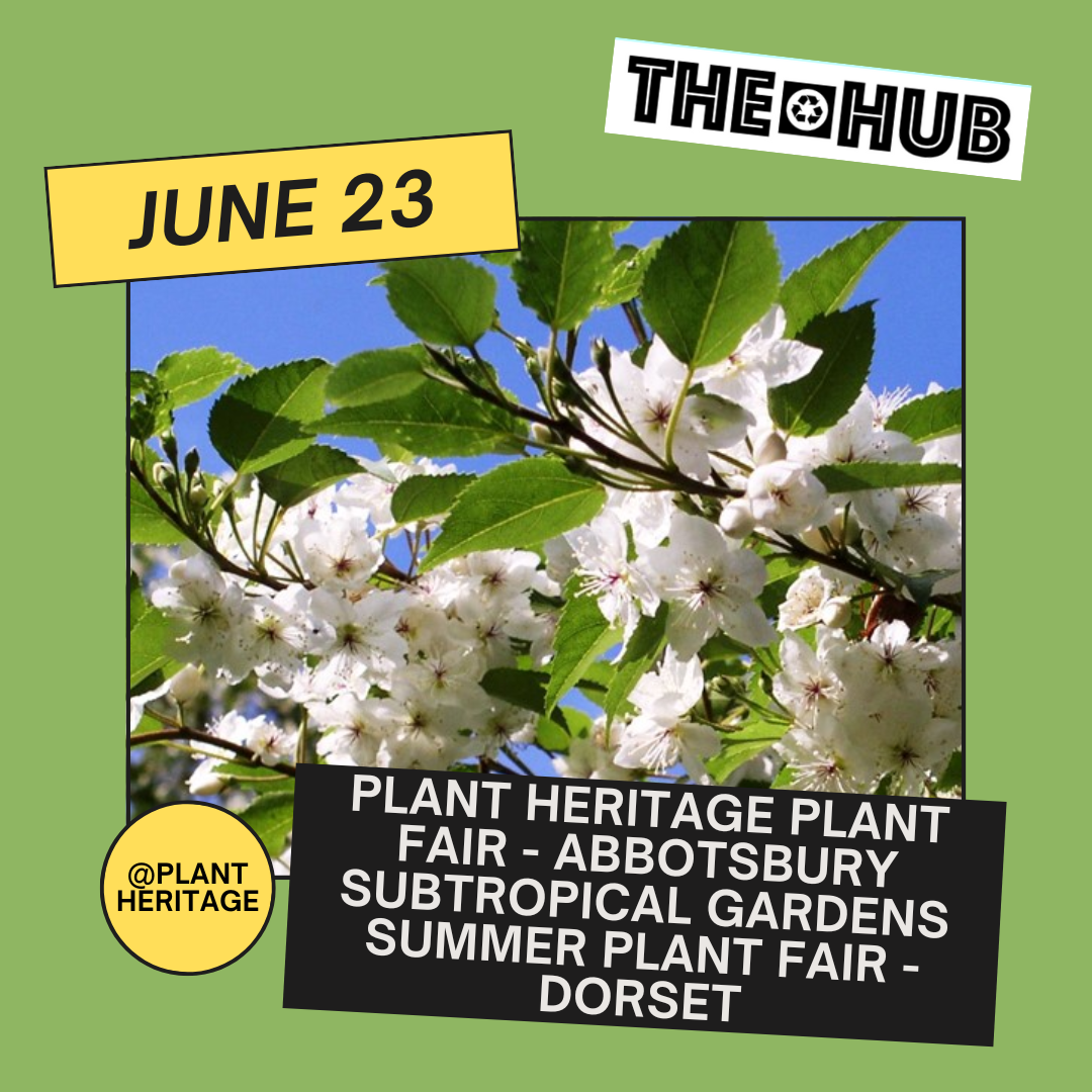Plant Heritage Plant Fair - Abbotsbury Subtropical Gardens Summer Plant Fair - Dorset