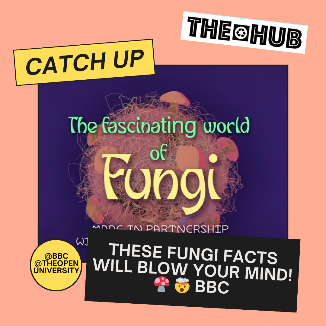 These fungi facts will blow your mind!