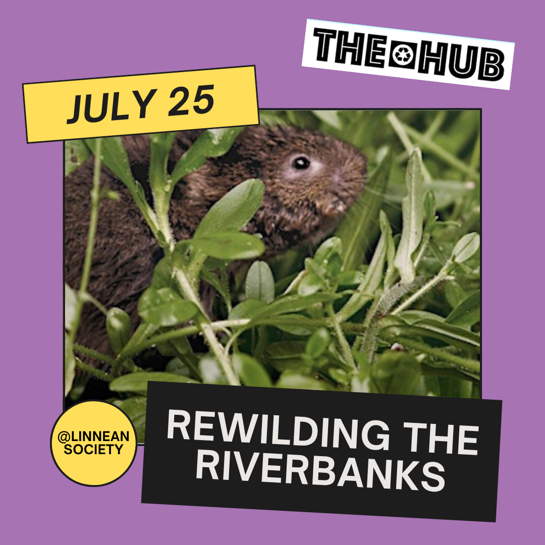 Rewinding the Riverbanks