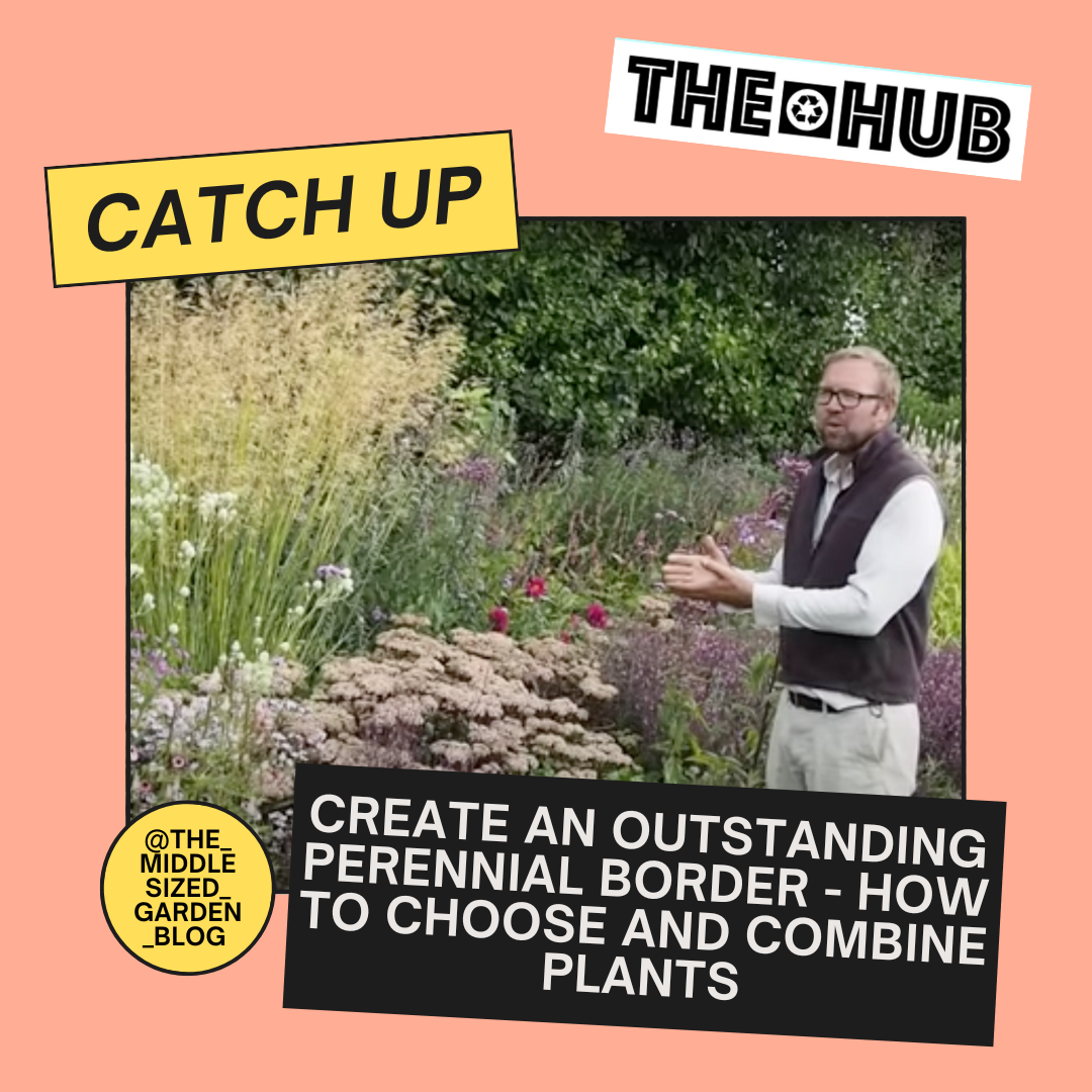 Create an outstanding perennial border - how to choose and combine plants