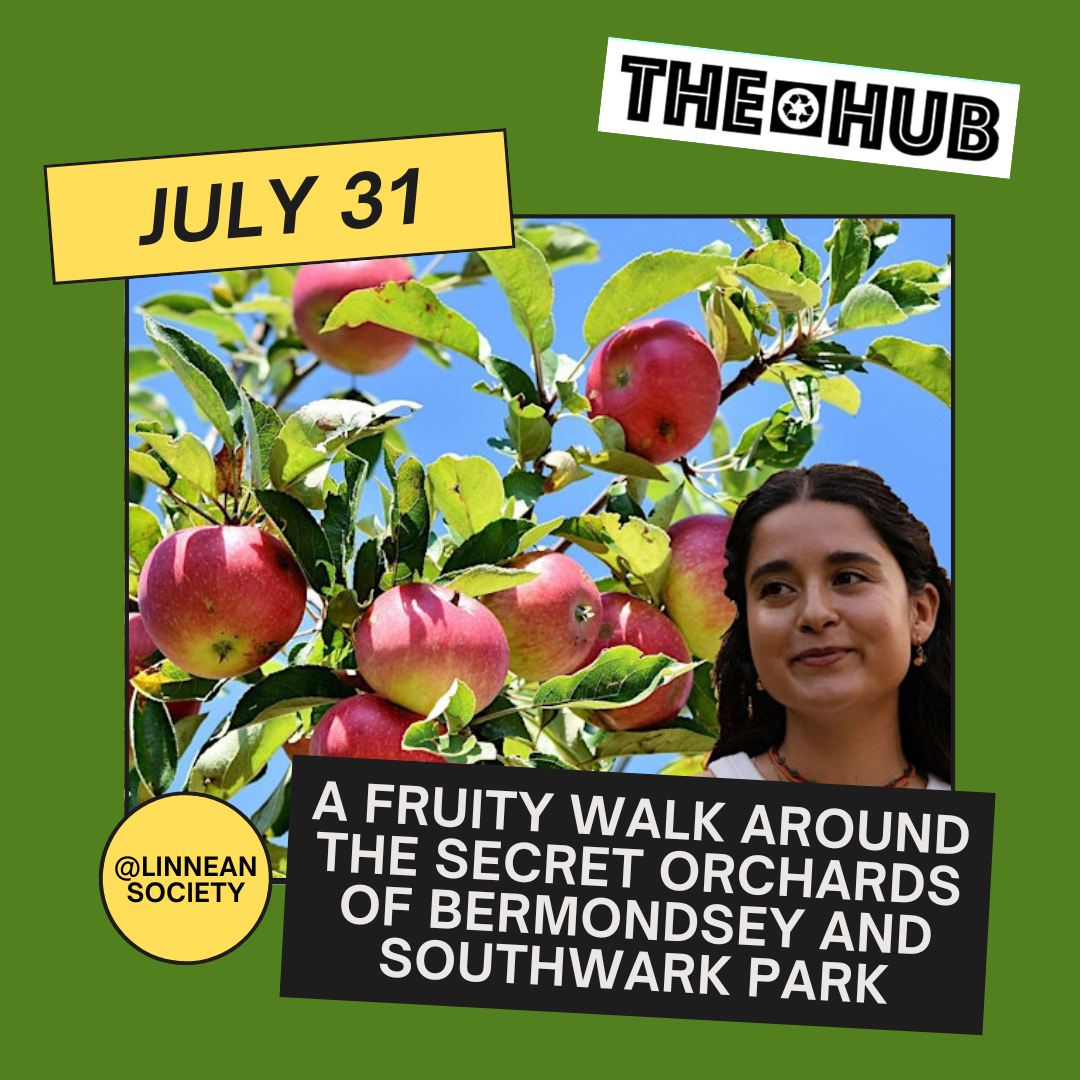 A Fruity Walk Around the Secret Orchards of Bermondsey and Southwark Park