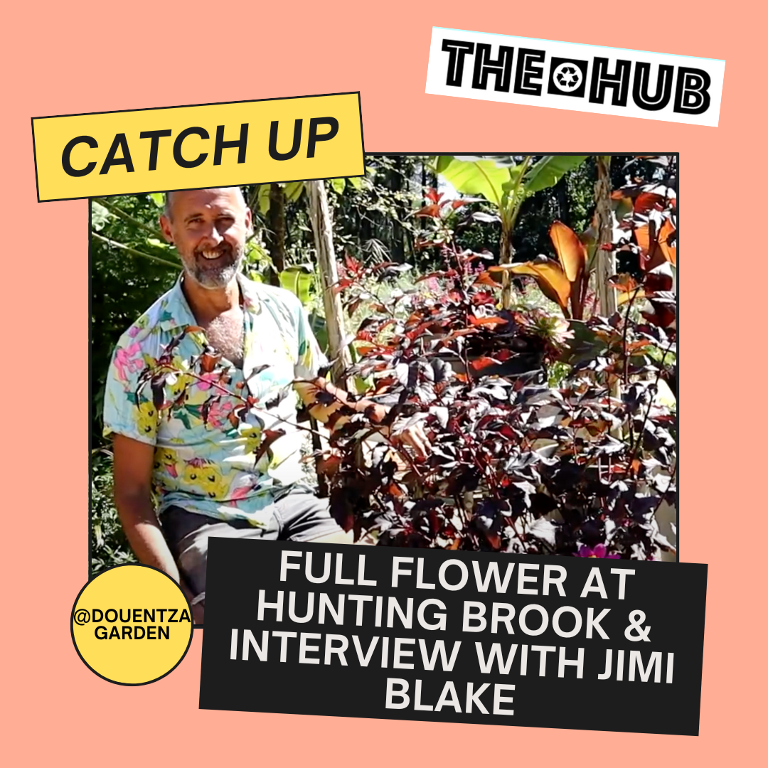Full Flower at Hunting Brook & Interview with Jimi Blake