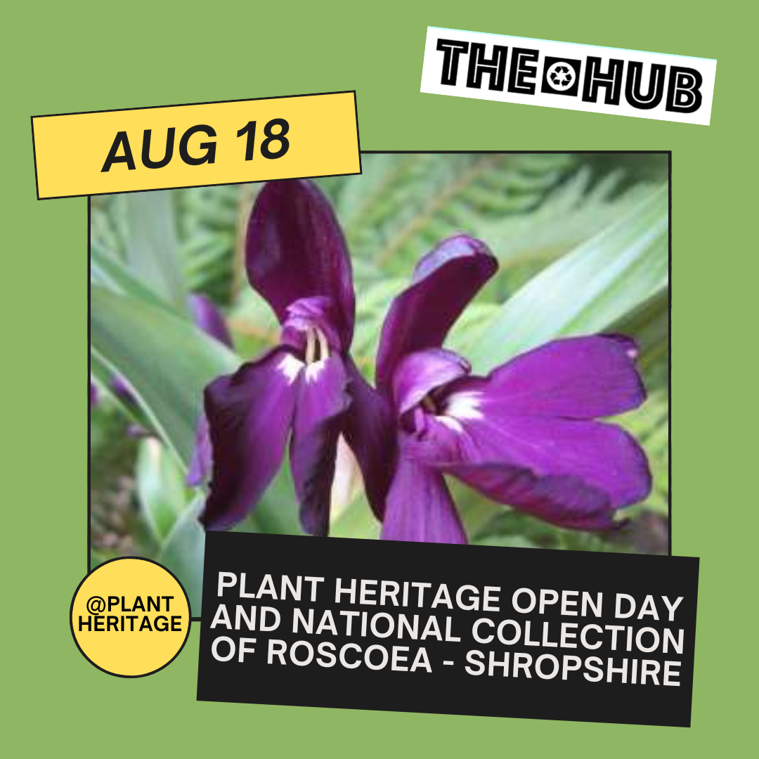 Plant Heritage and Denbies Plant Fair