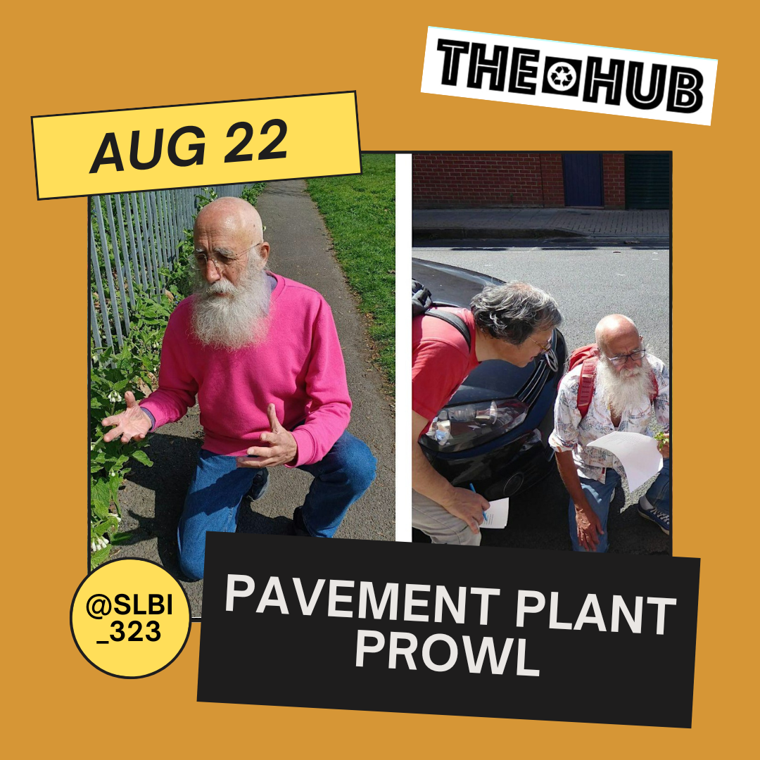 Pavement Plant Prowl