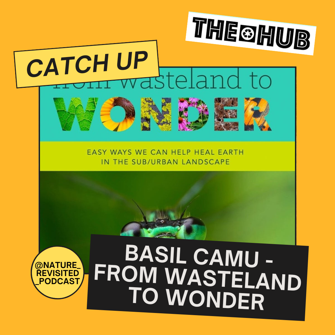 Basil Camu - From Wasteland To Wonder