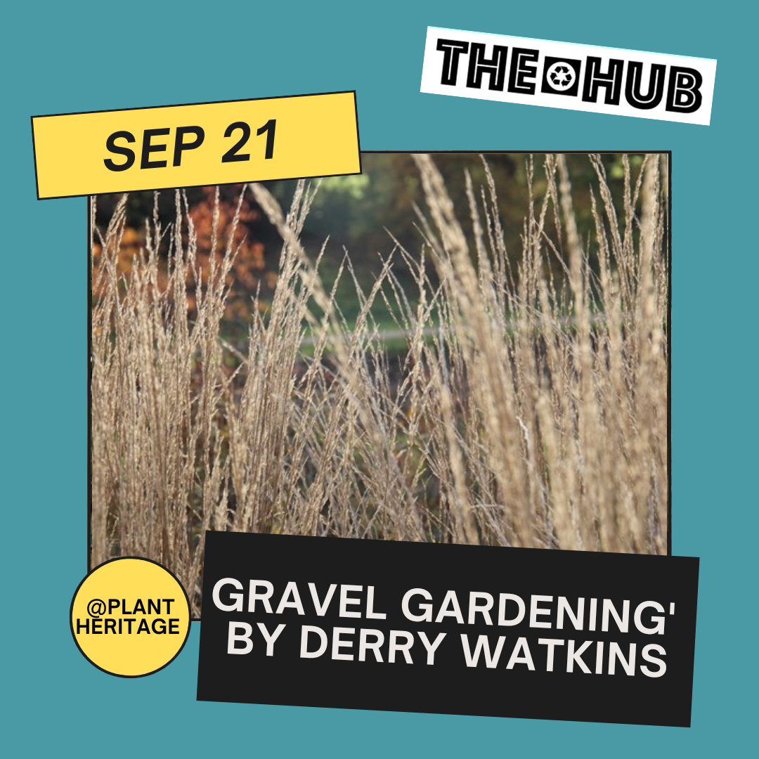 Gravel Gardening' by Derry Watkins