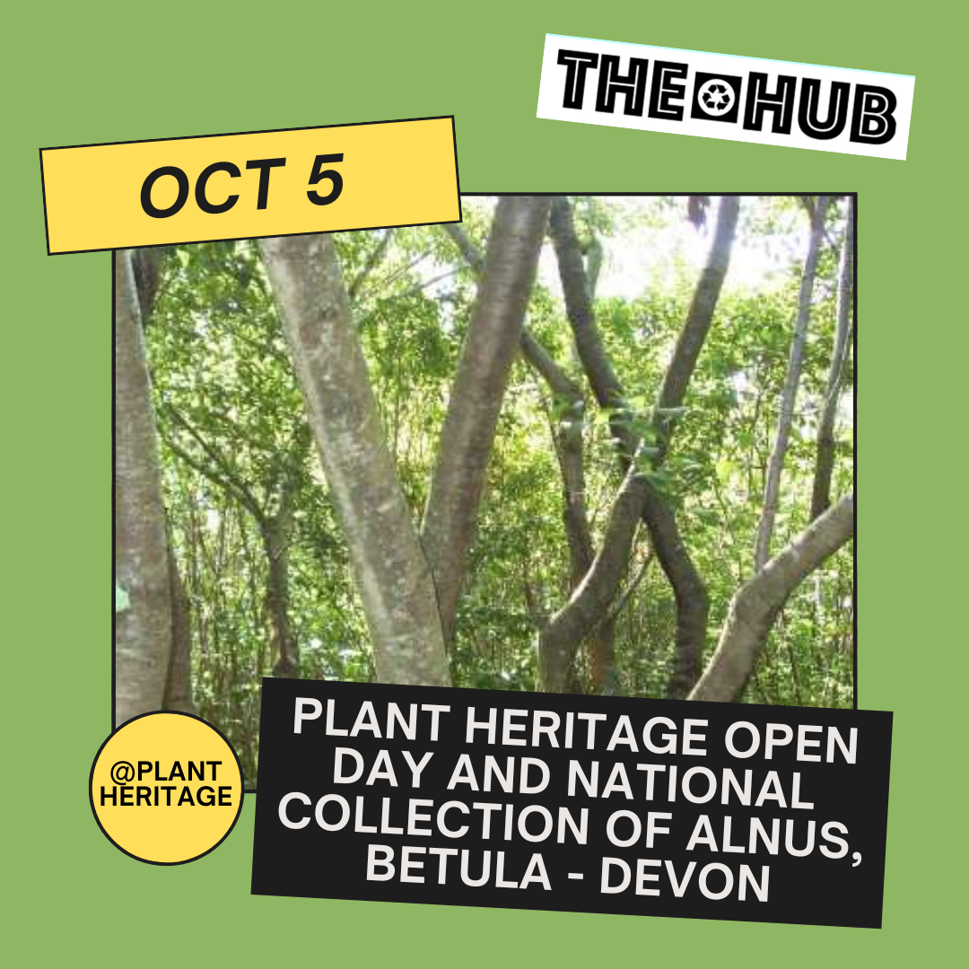 Plant Heritage Open Day and National Collection of Alnus, Betula ...