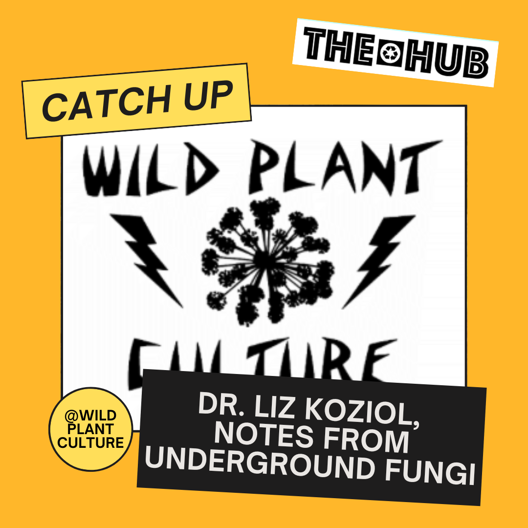 Dr. Liz Koziol, Notes from Underground Fungi