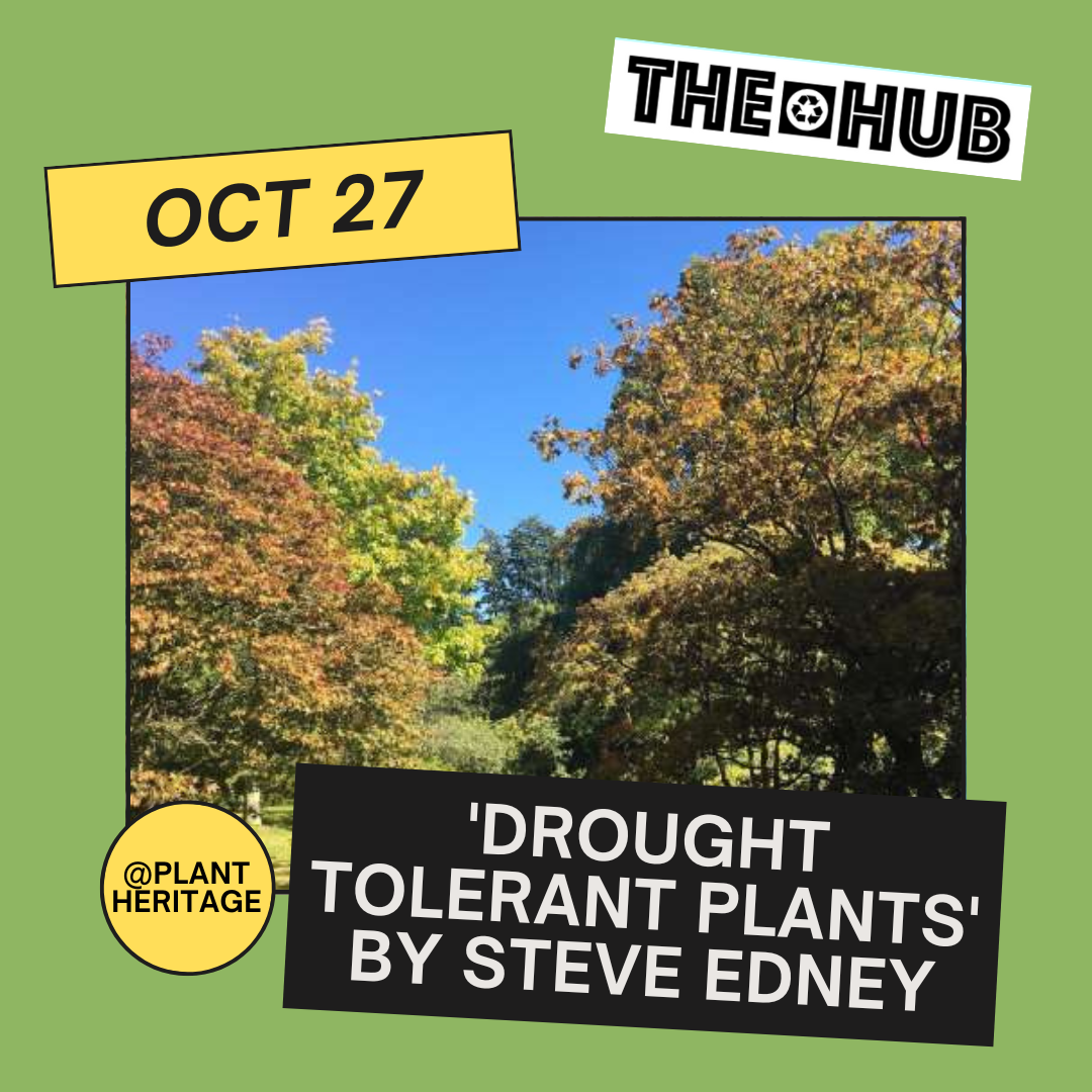 Plant Heritage Open Day and National Collection of Quercus - Devon