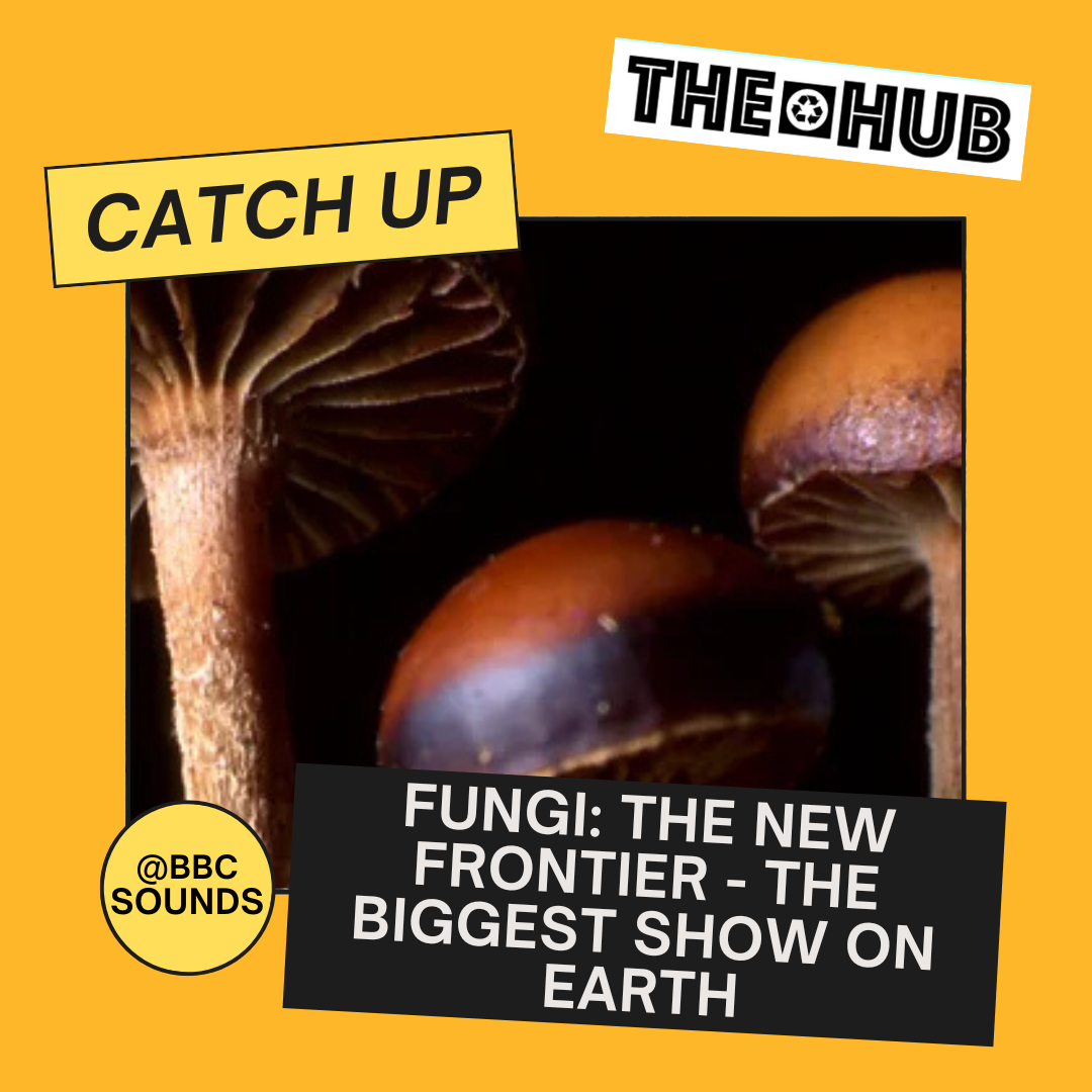 Fungi: The New Frontier - The biggest show on Earth