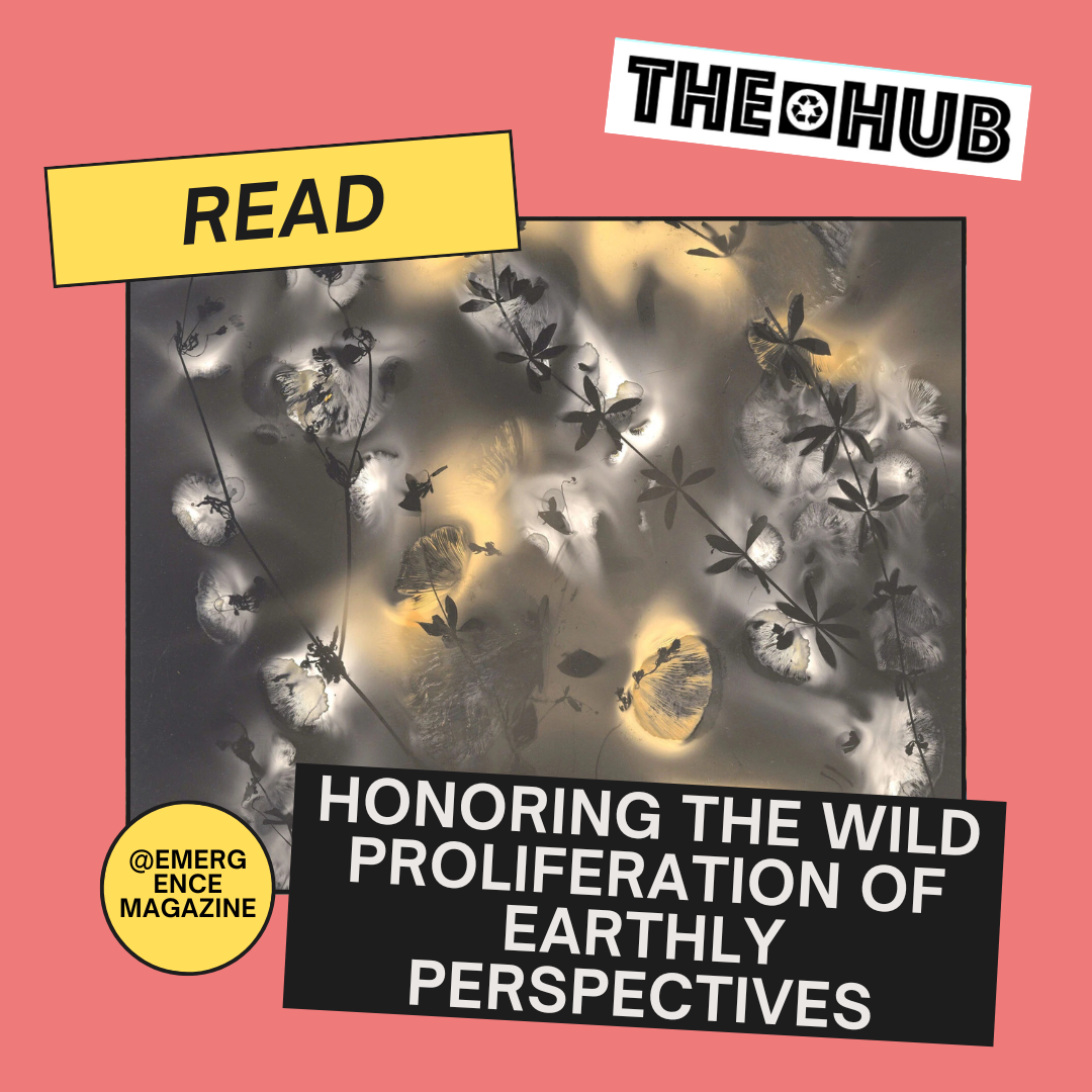 Honoring the Wild Proliferation of Earthly Perspectives