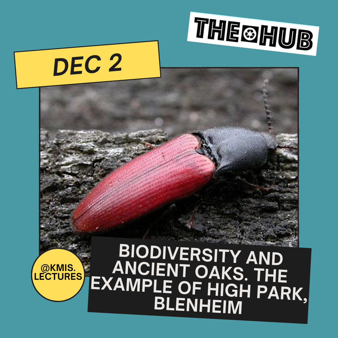 Biodiversity and Ancient Oaks. The example of High Park, Blenheim