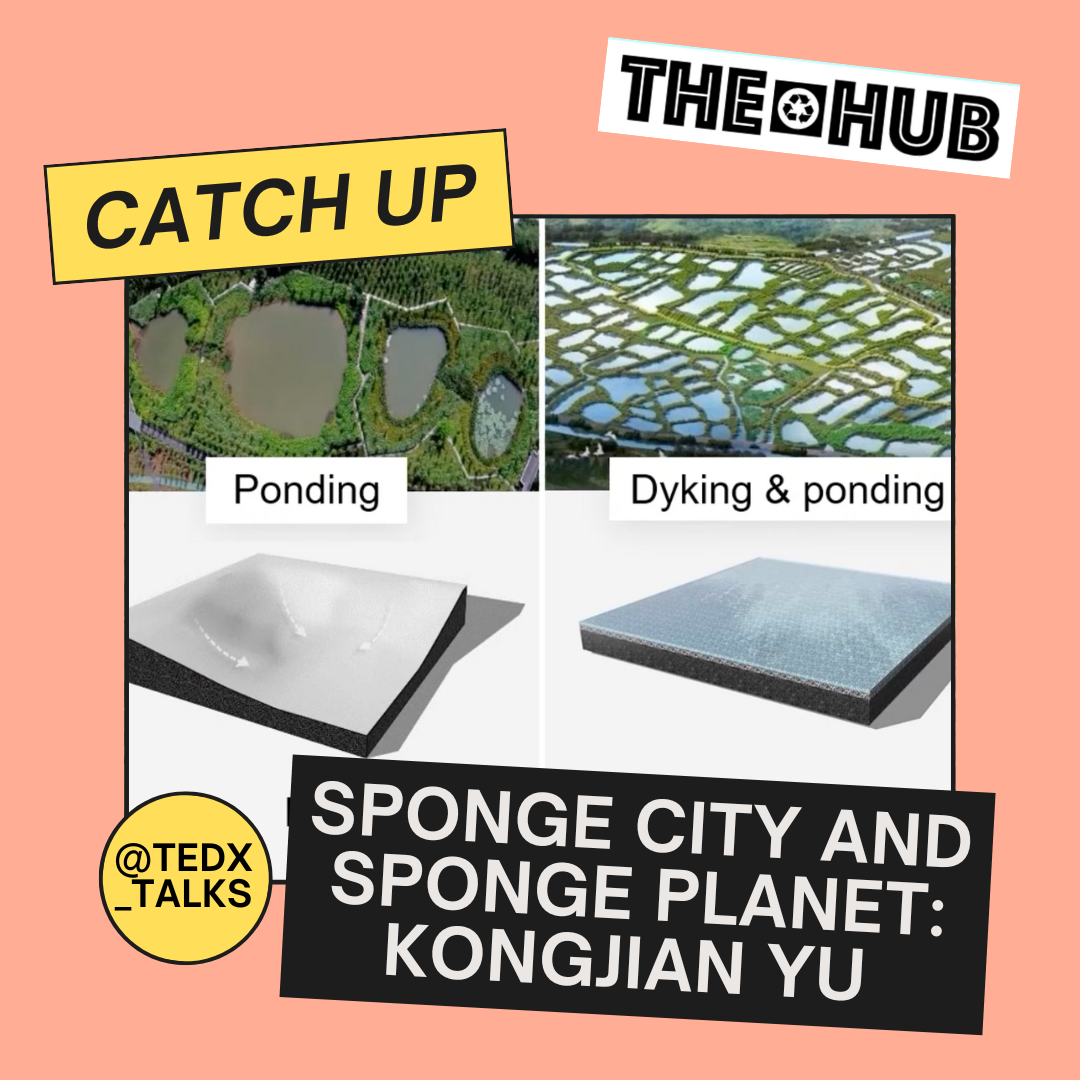 Sponge City and Sponge Planet: Kongjian Yu