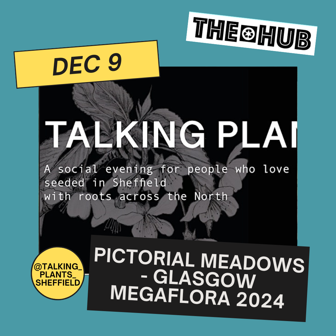 Pictorial Meadows - Glasgow Megaflora 2024