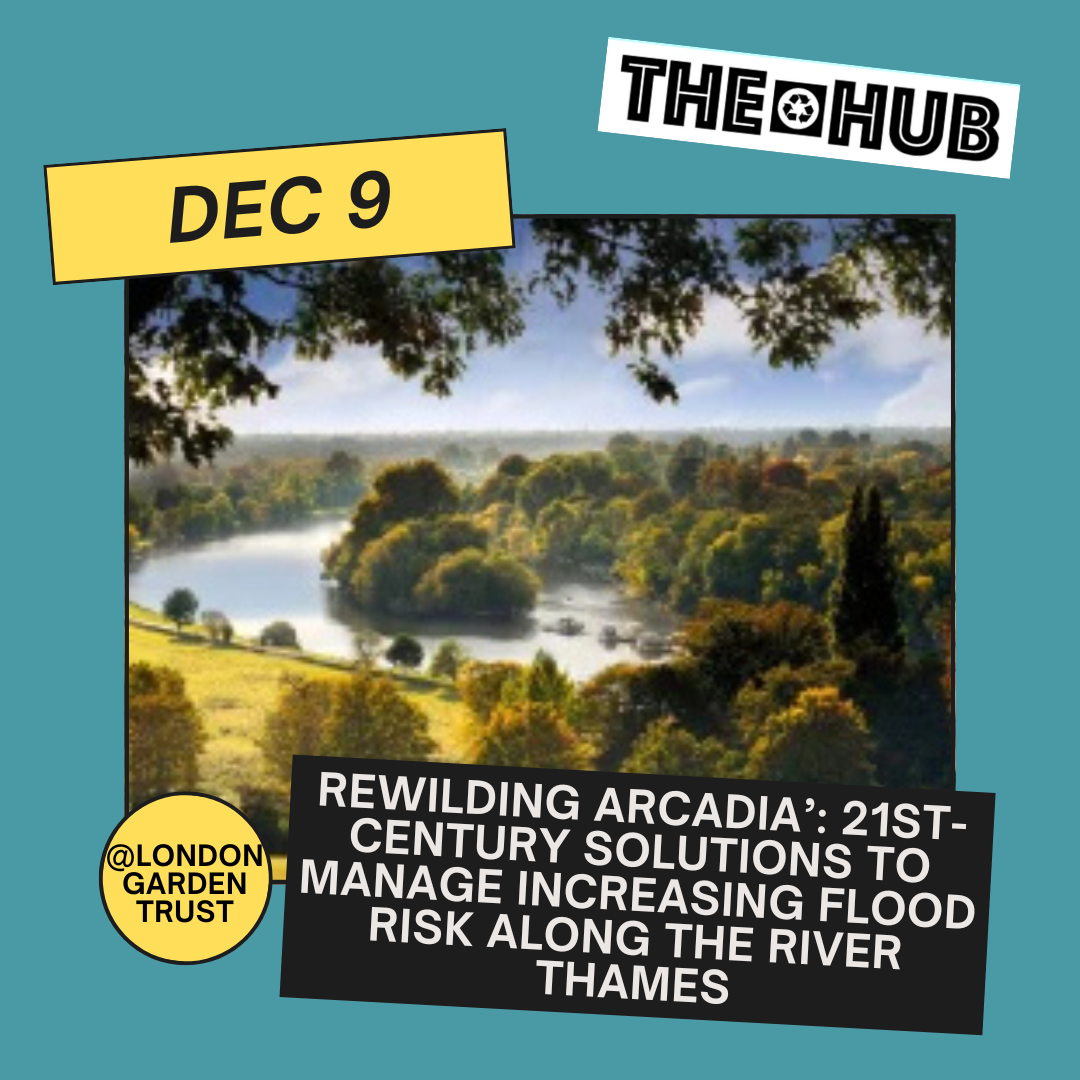 Rewilding Arcadia’: 21st-century solutions to manage increasing flood risk along the river Thames