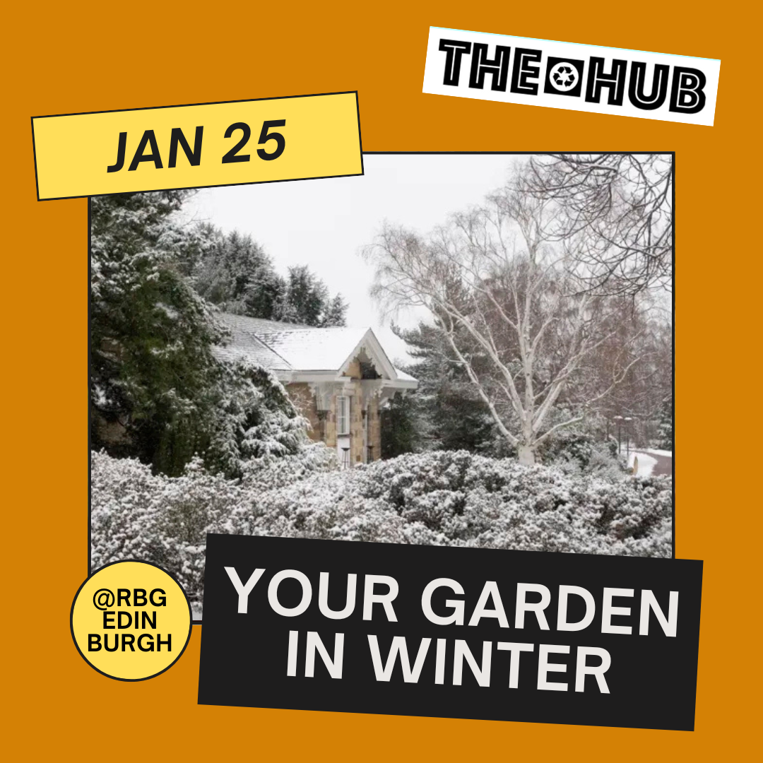 Your Garden in Winter