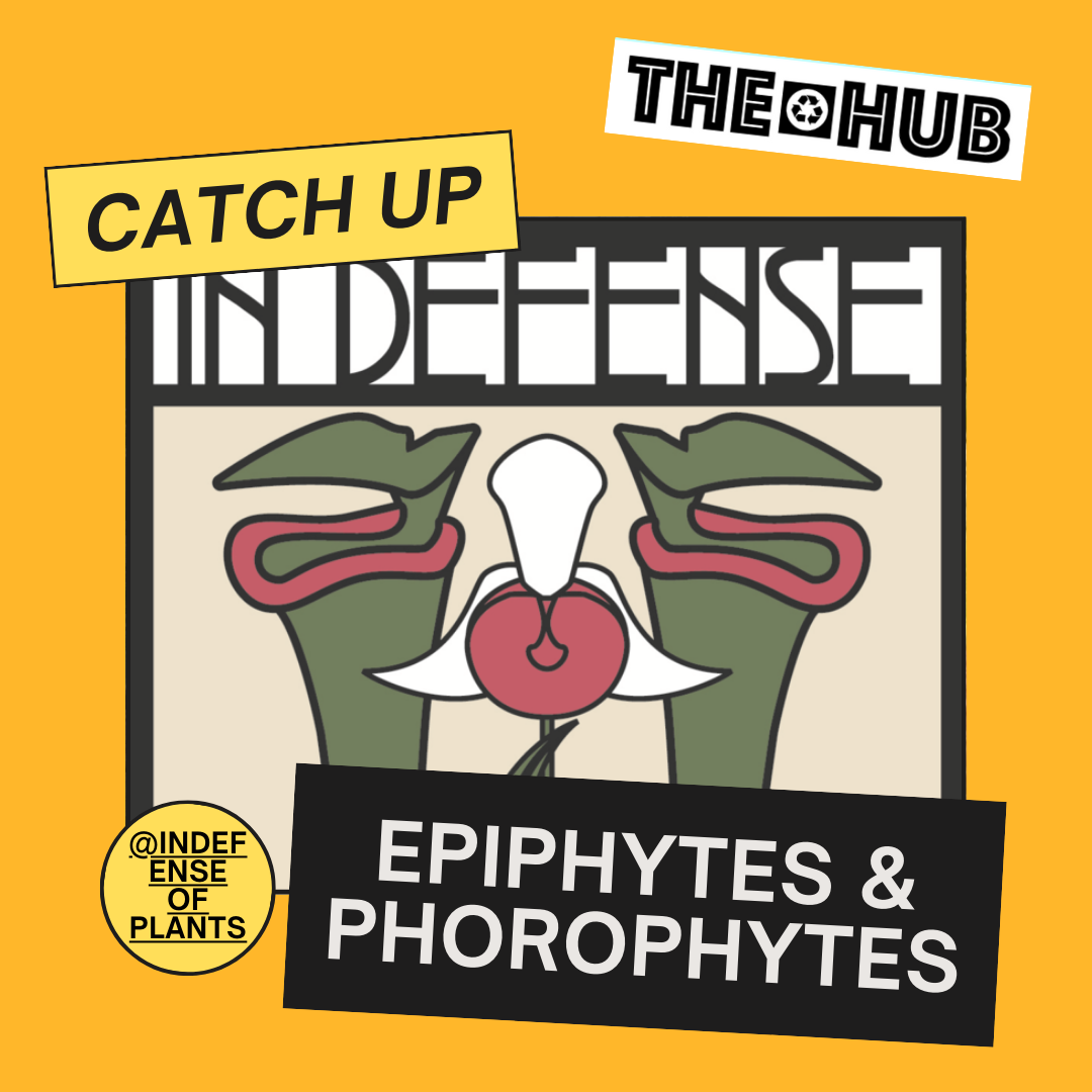 Epiphytes &amp; Phorophytes