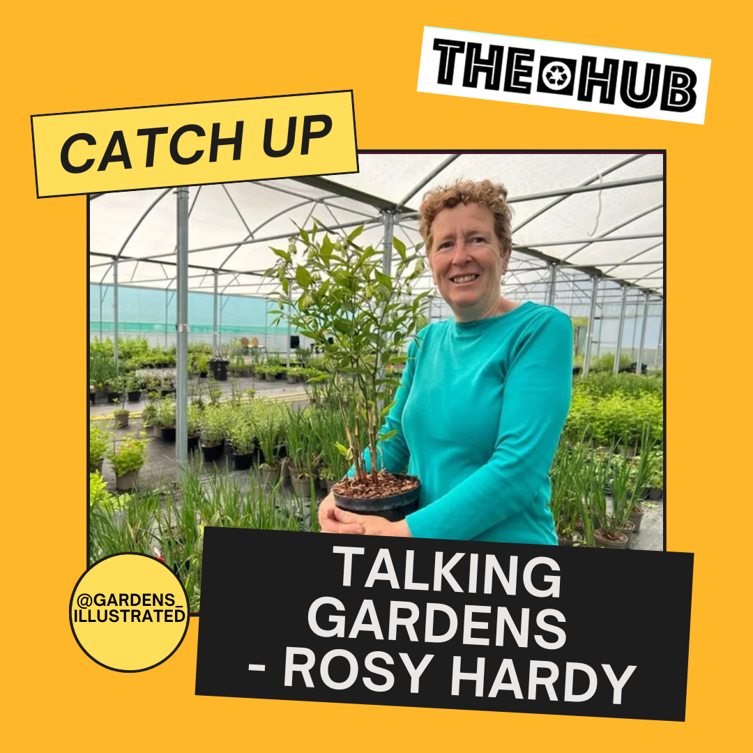 Talking Gardens - Rosy Hardy