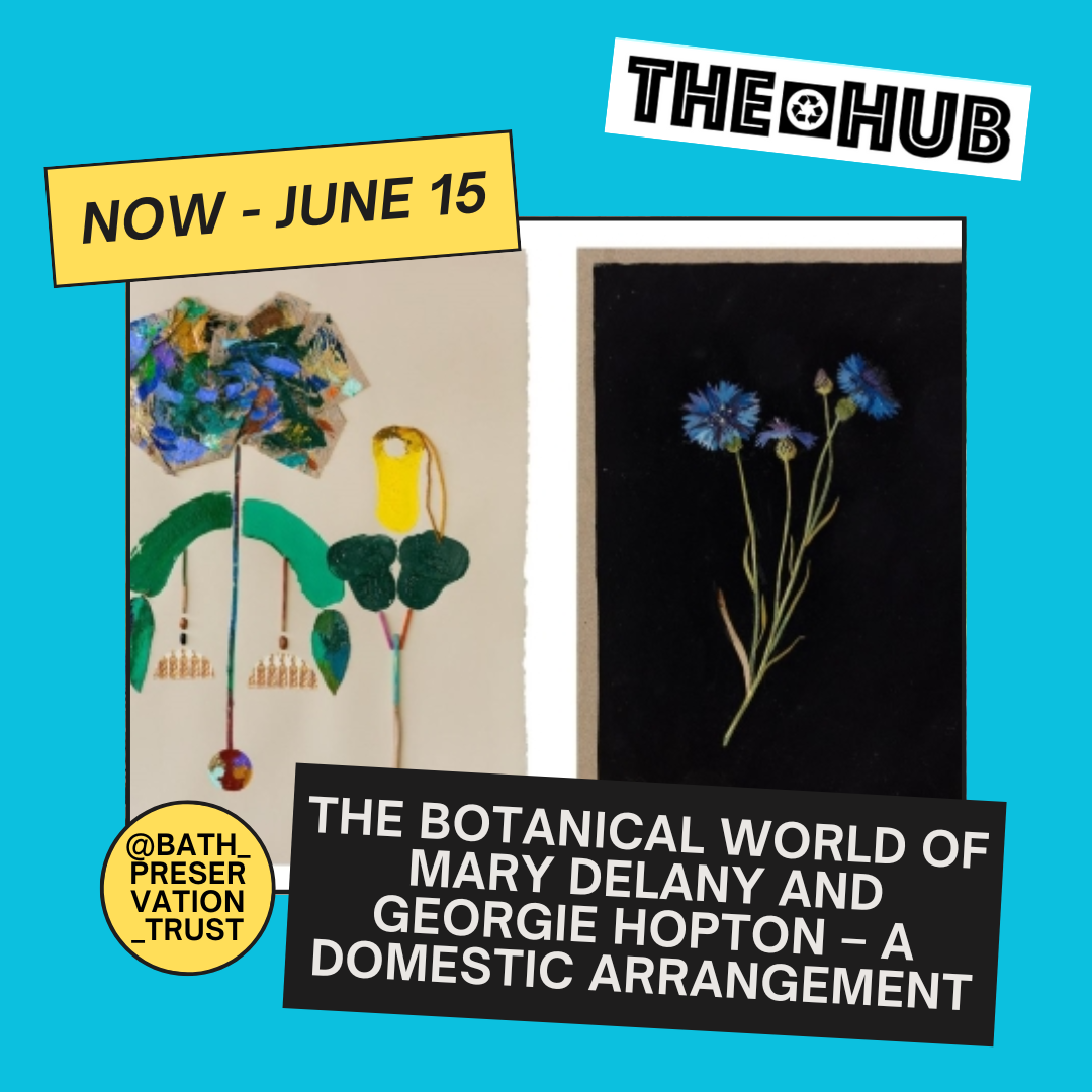 The botanical world of Mary Delany and Georgie Hopton – A Domestic Arrangement
