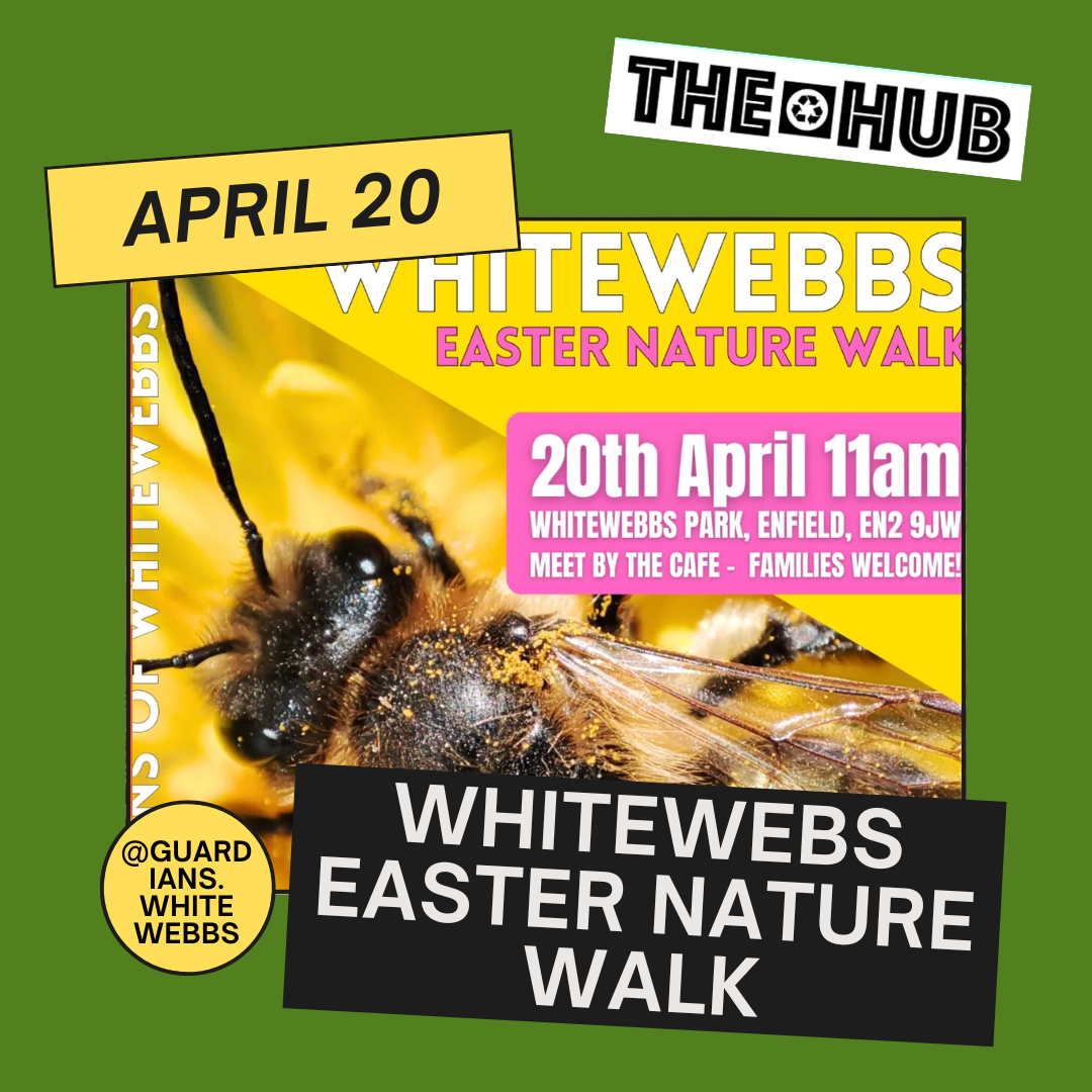 Whitewebs Easter Nature Walk