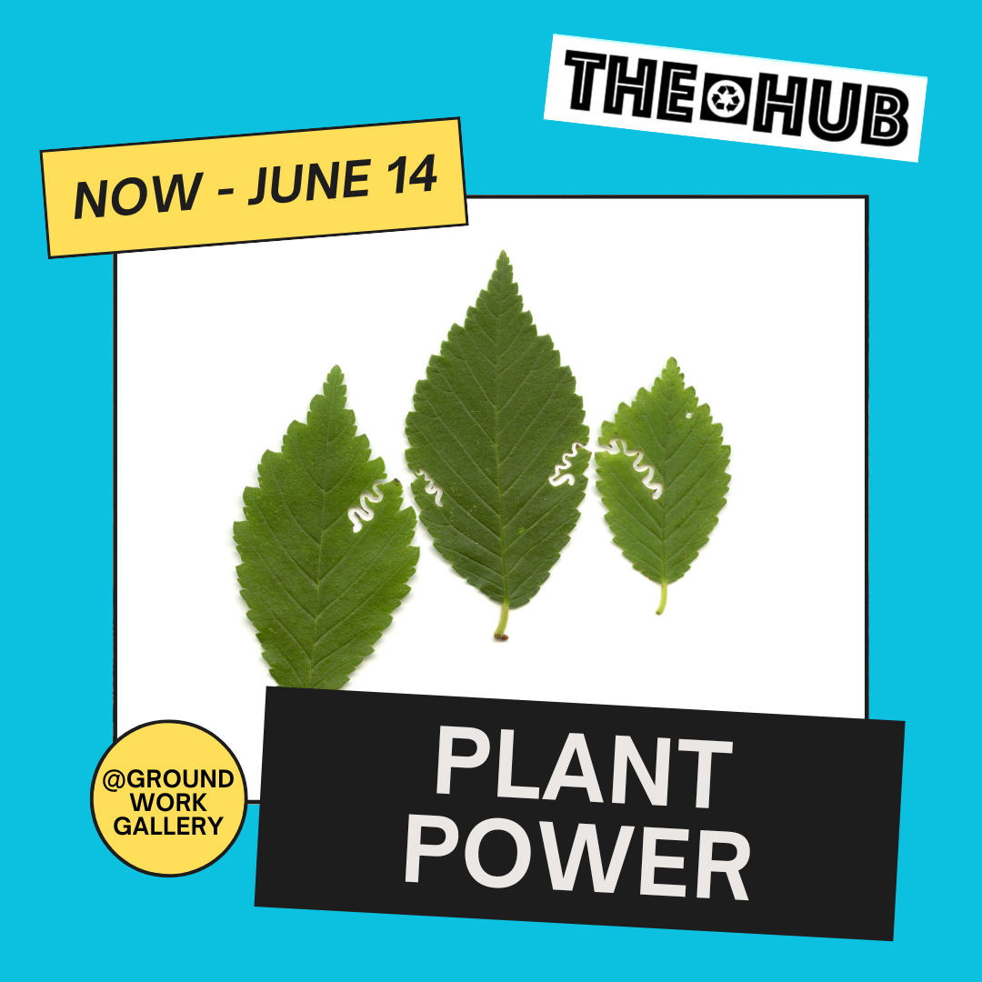 Plant Power