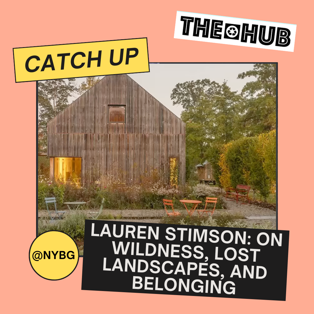 Lauren Stimson: On Wildness, Lost Landscapes, and Belonging
