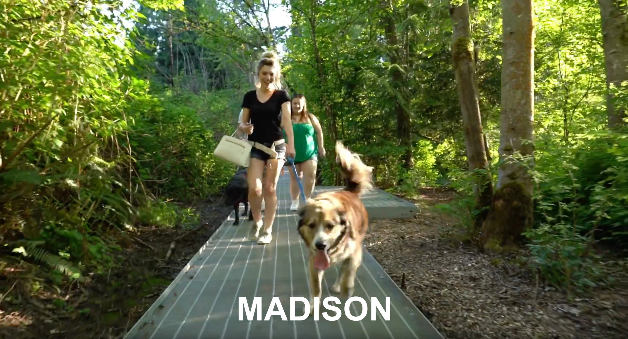 NP Madison.jpg