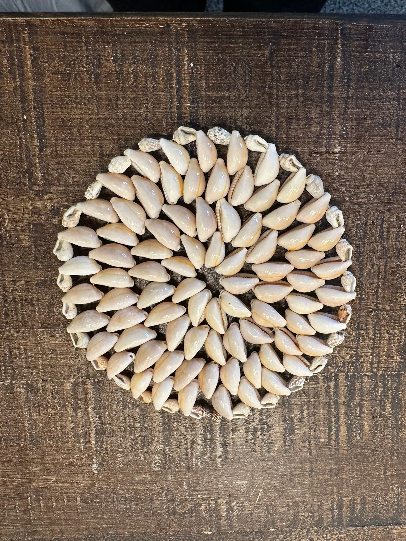 Medium Seashell Coaster