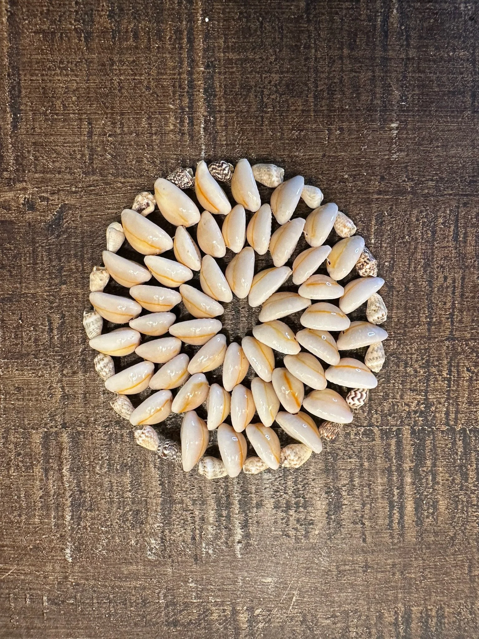 Small Seashell Coaster