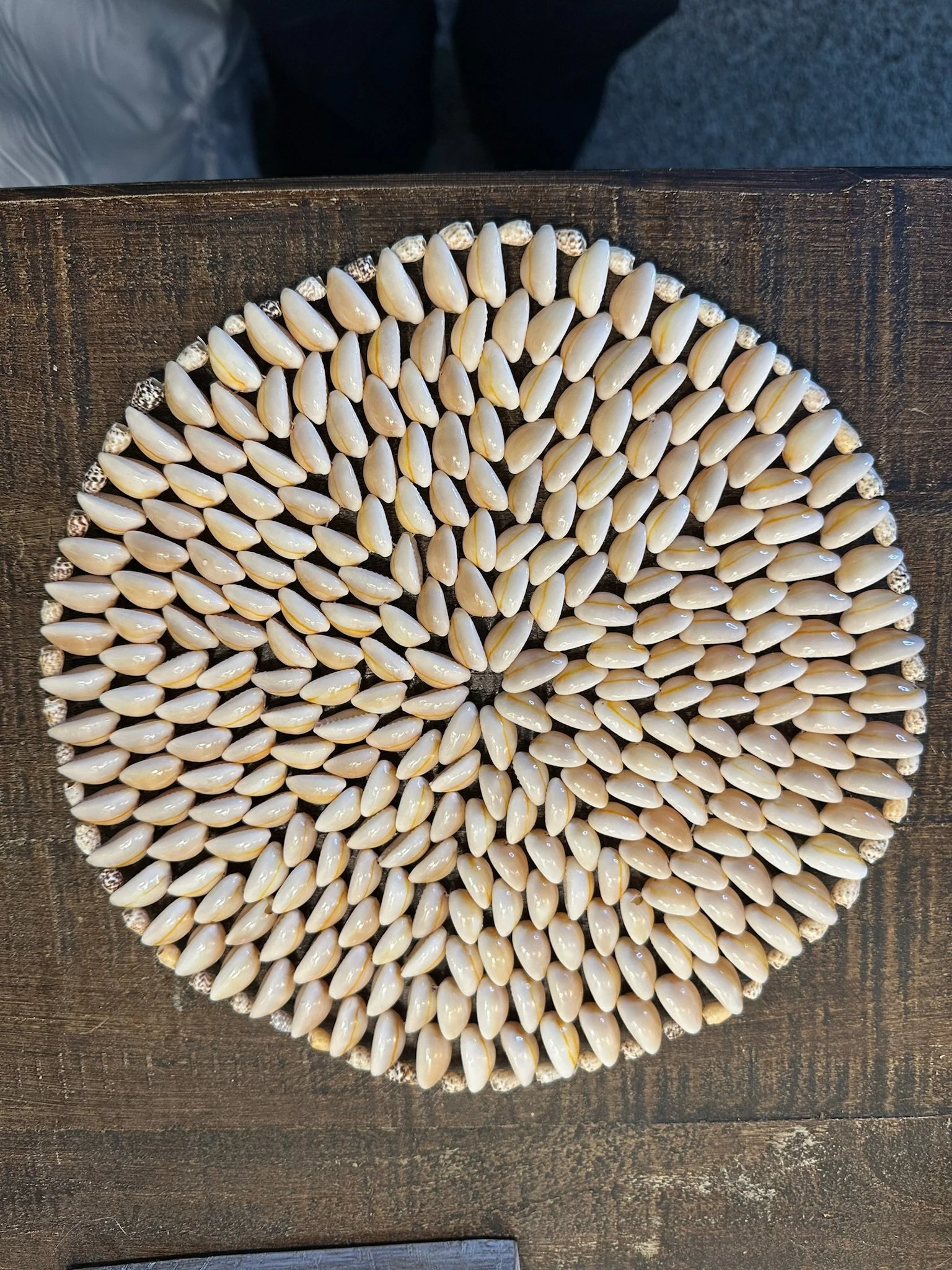 Large Seashell Coaster