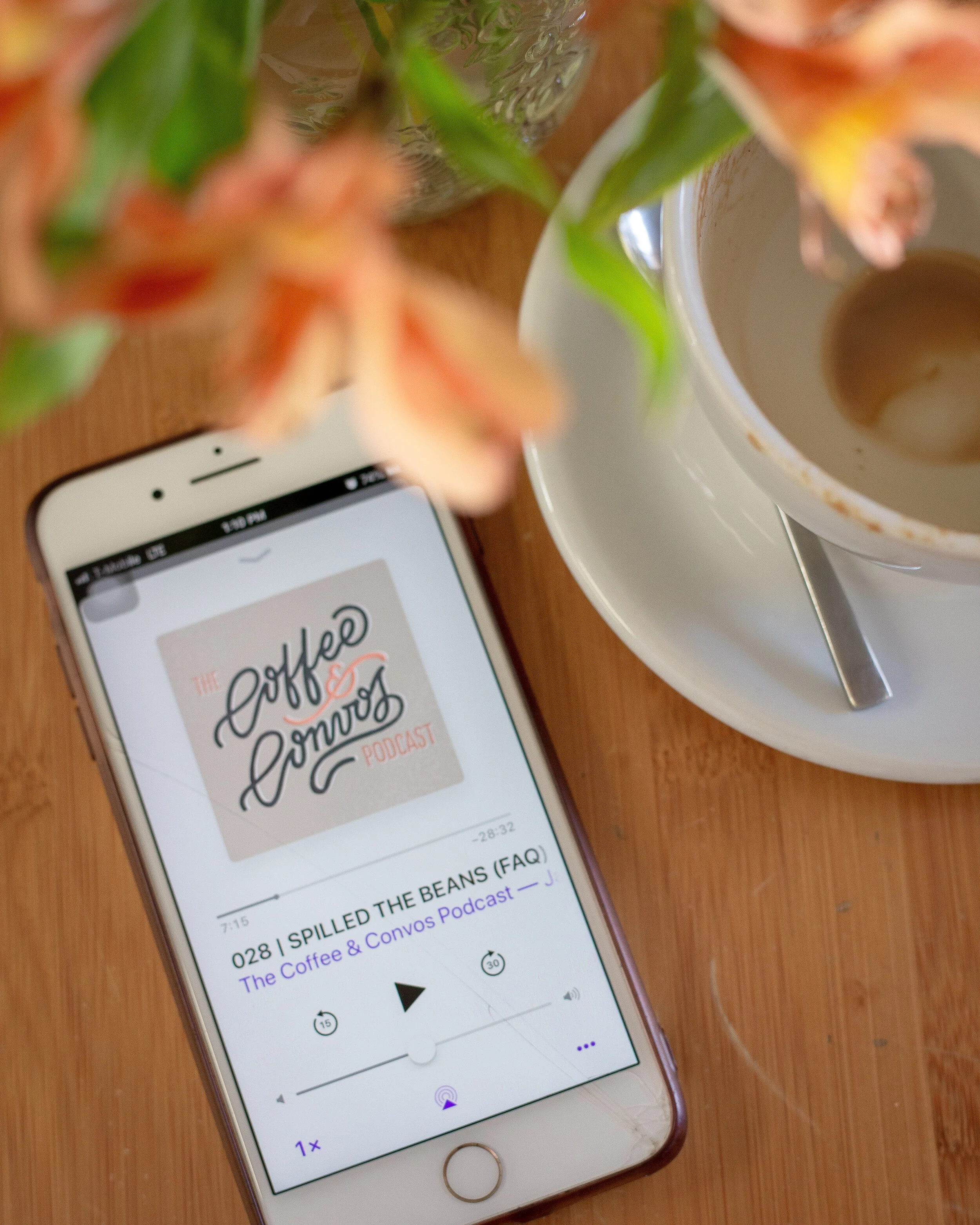 
SPILLED THE BEANS (FAQ)  