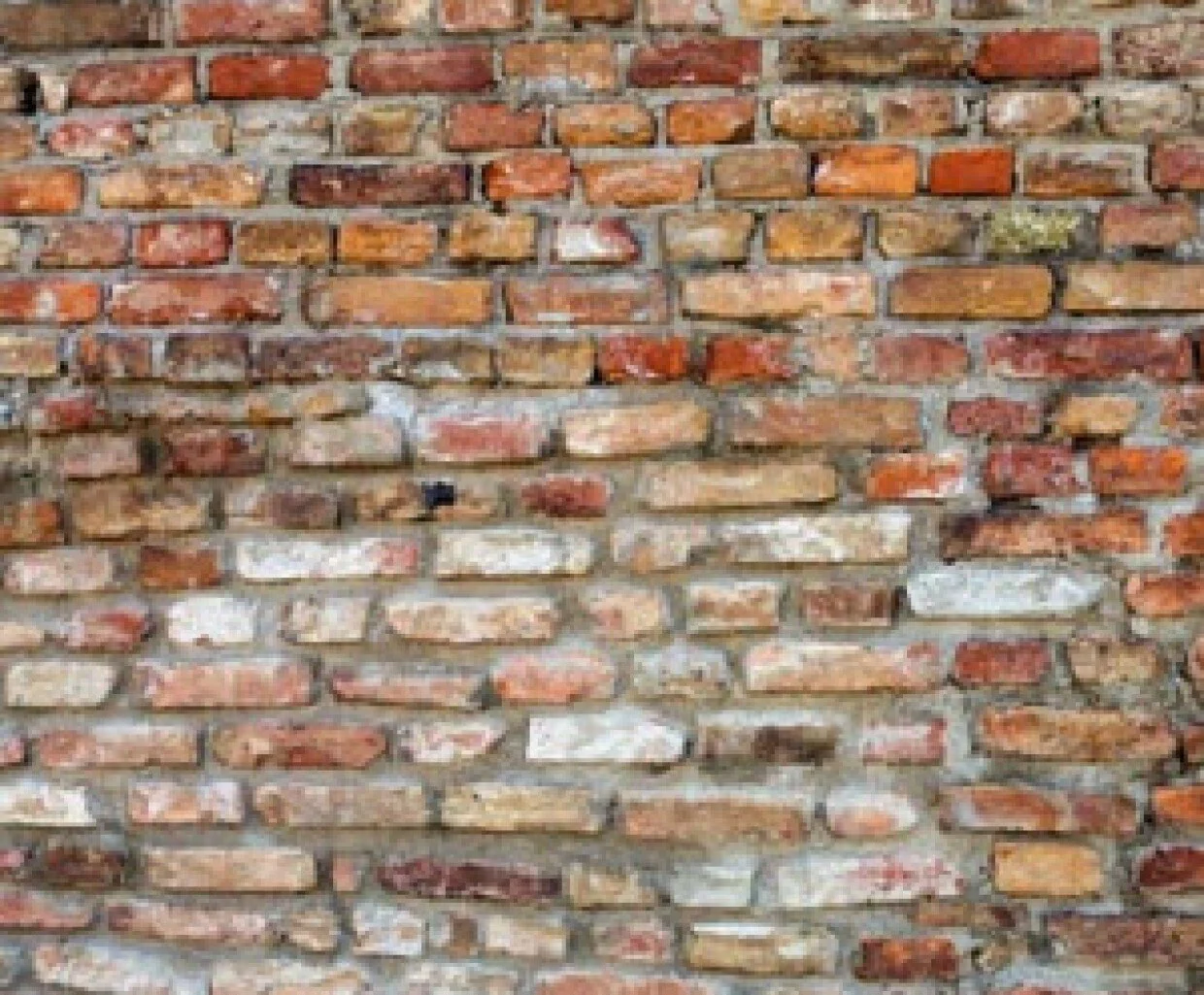 MCGS March General Meeting