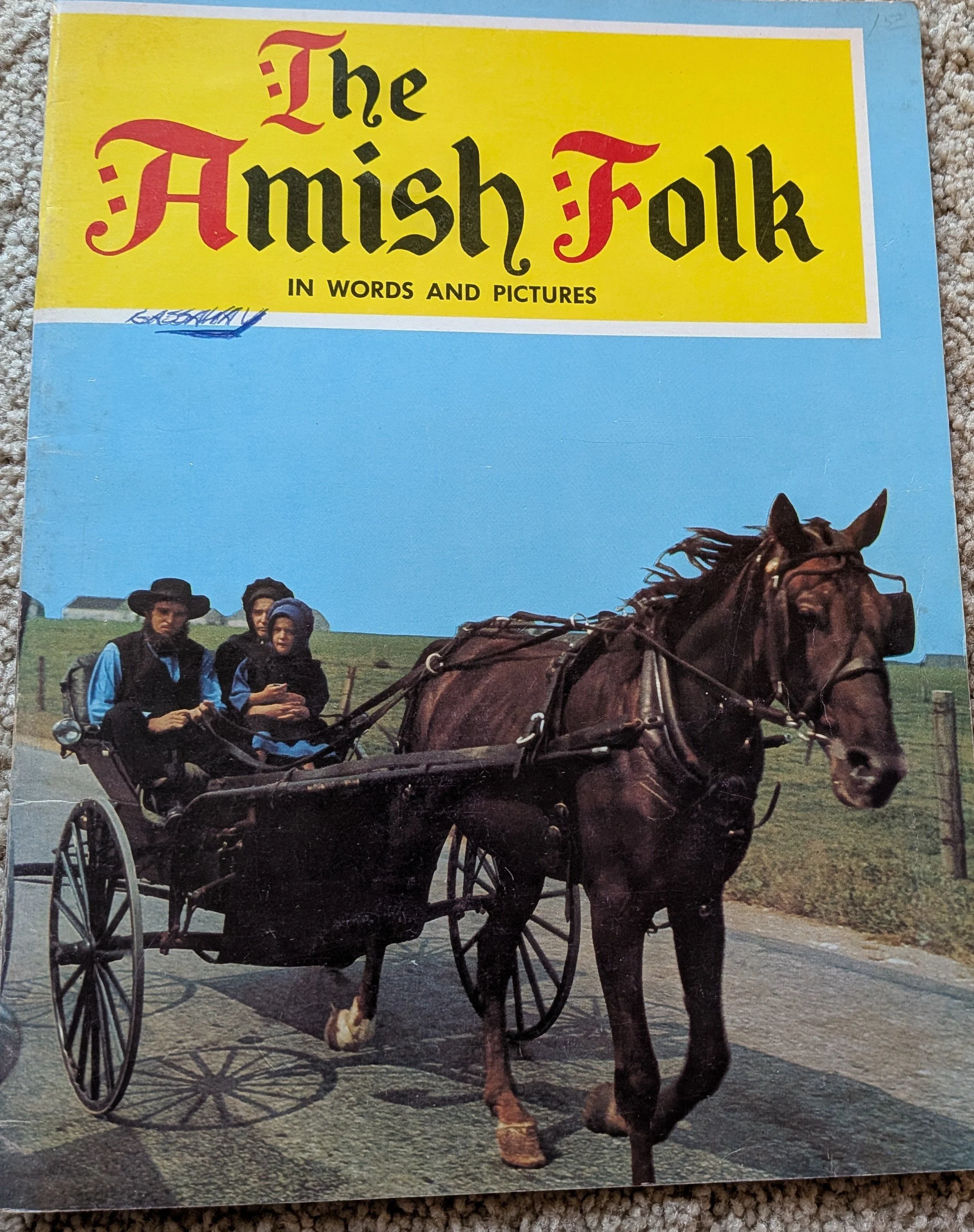 The Amish Folk.jpg