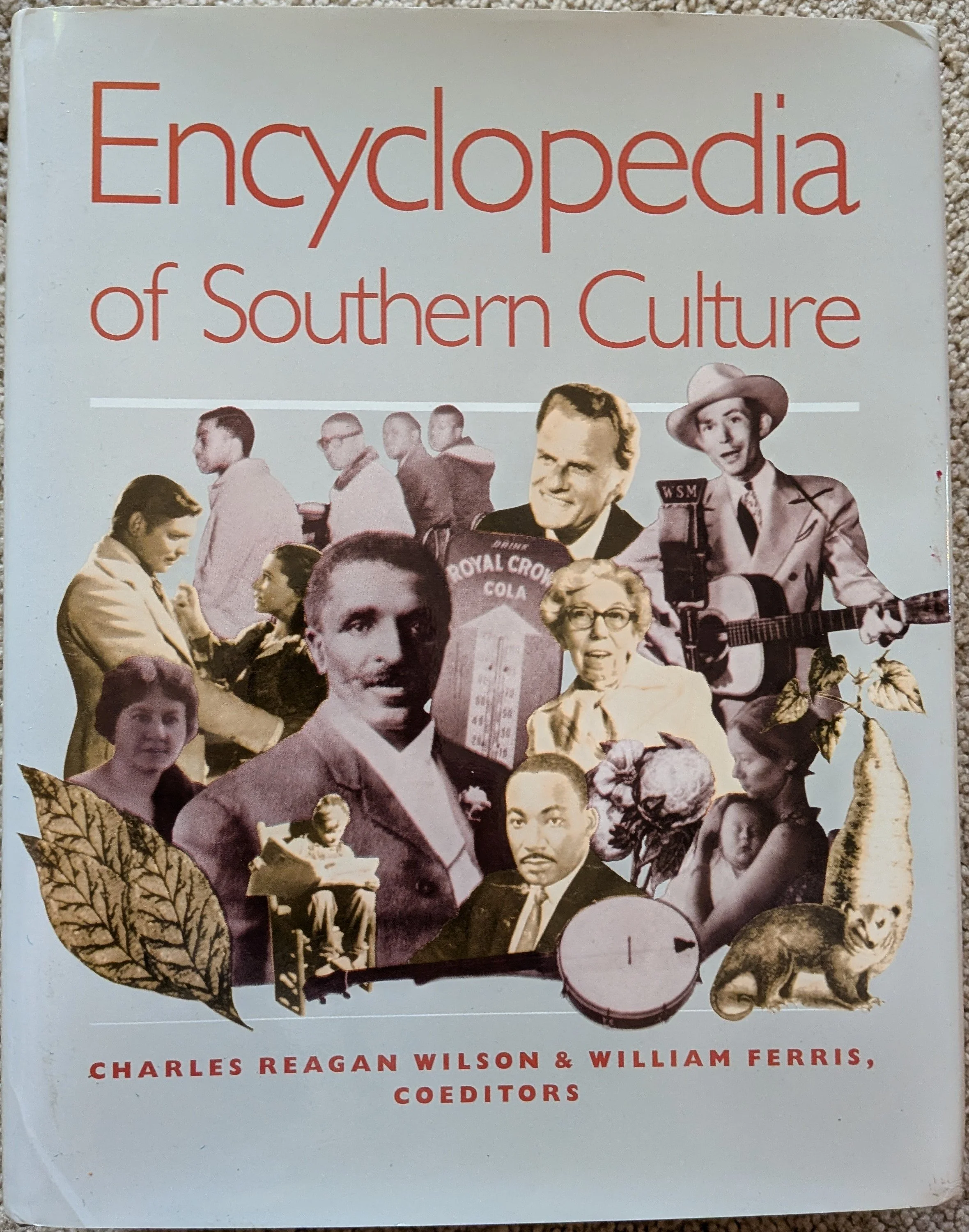 Encyclopedia of Southern Culture.jpg