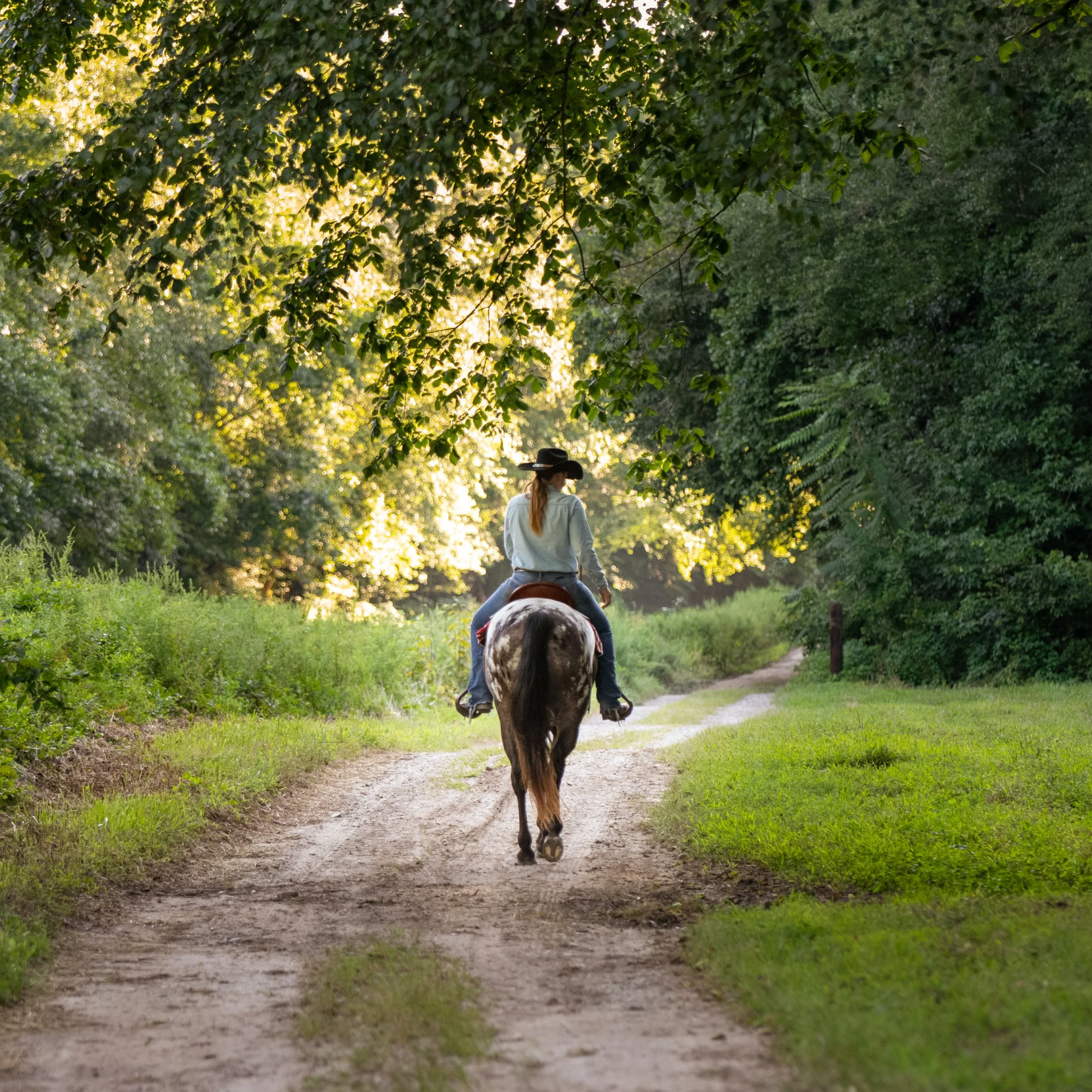 Website Pictures-38.jpg