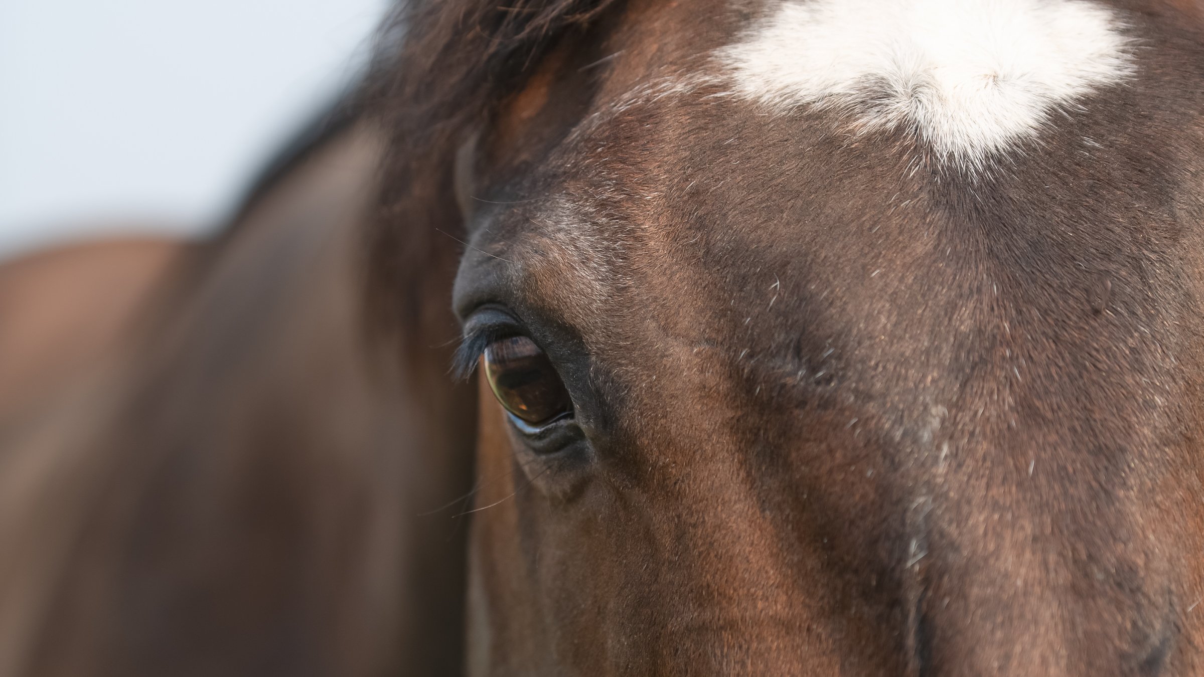 Website Pictures-72.jpg