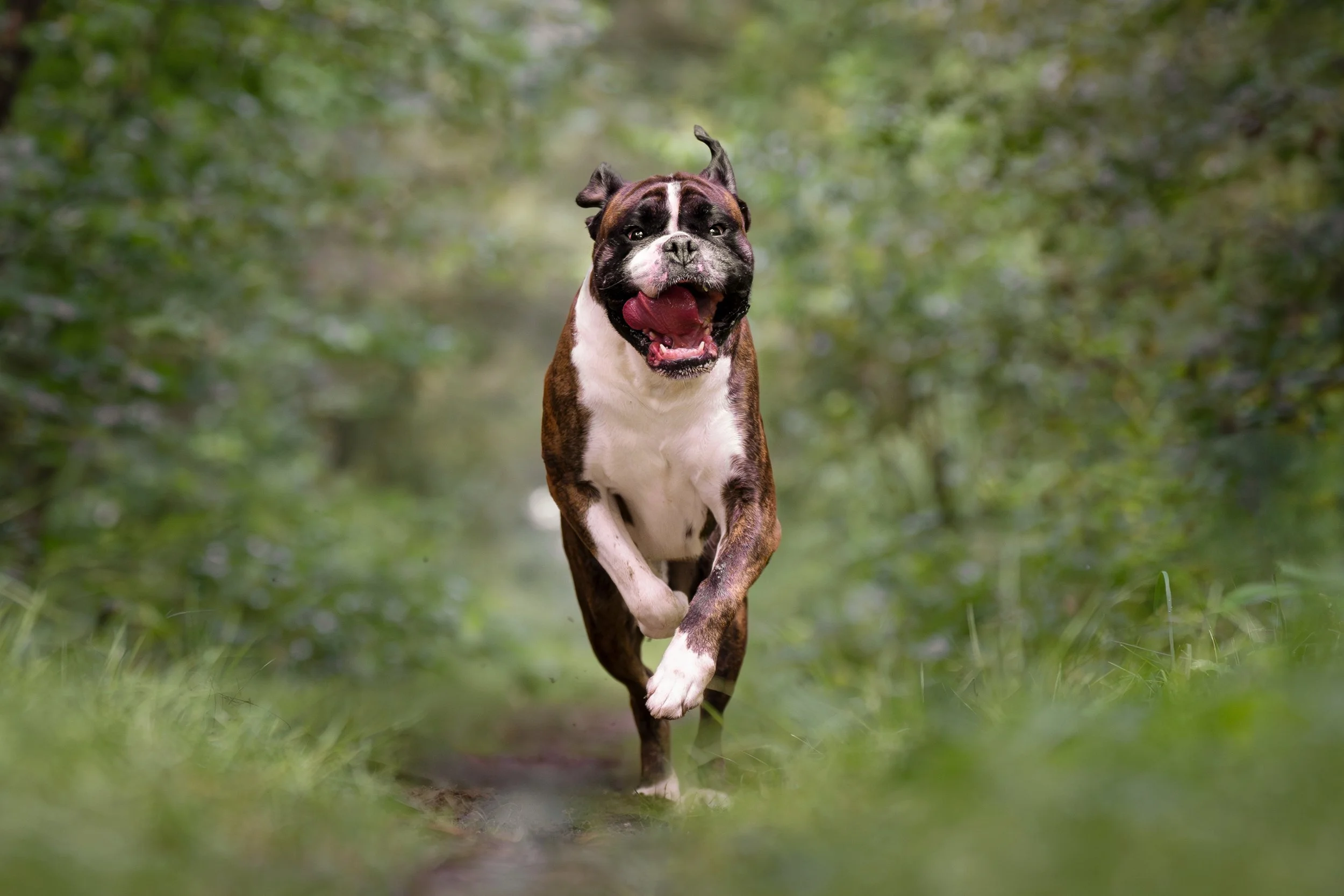 Embark Front Runner Re edit  Meyer-1.jpg