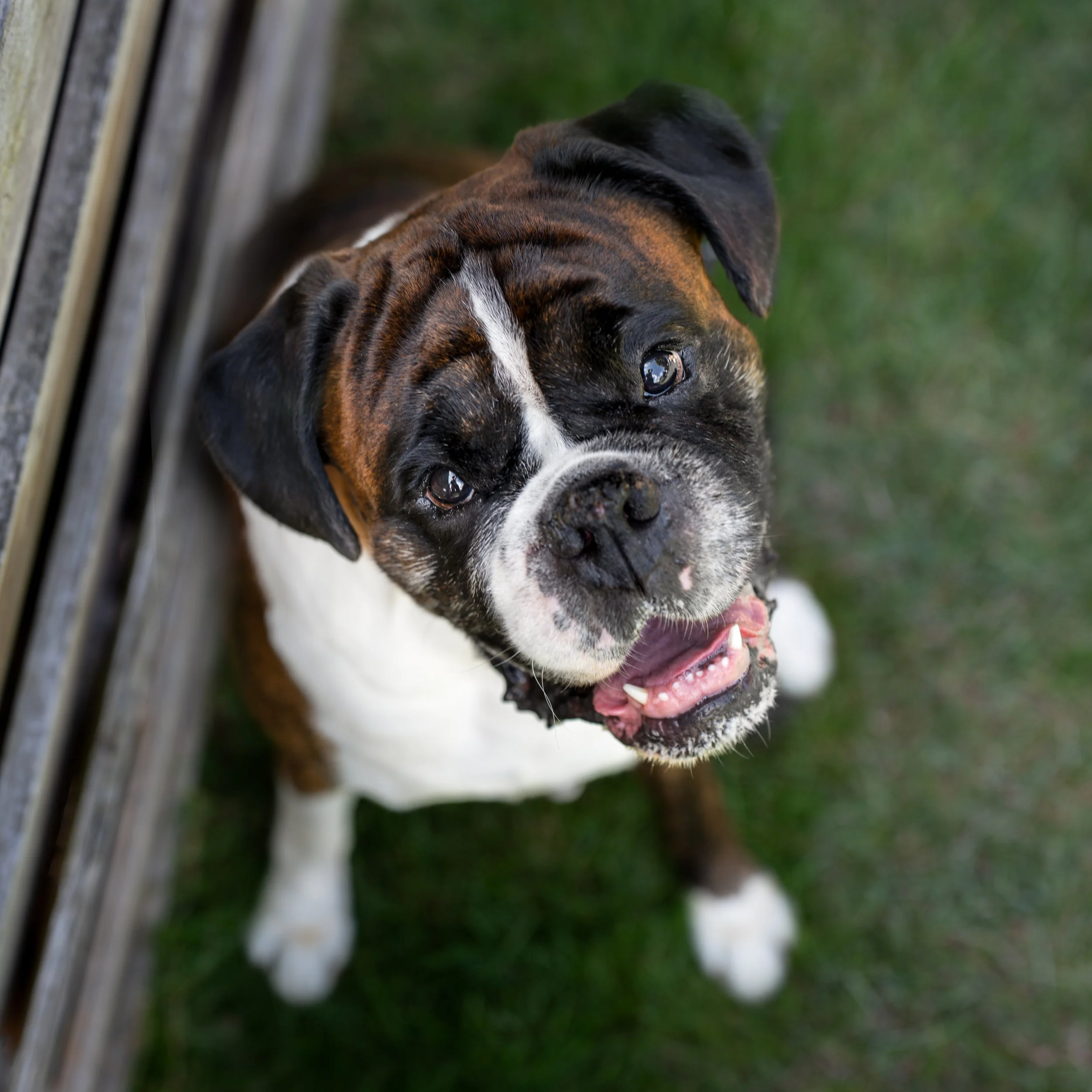 Embark Soul Searcher Re edit Meyer-1.jpg