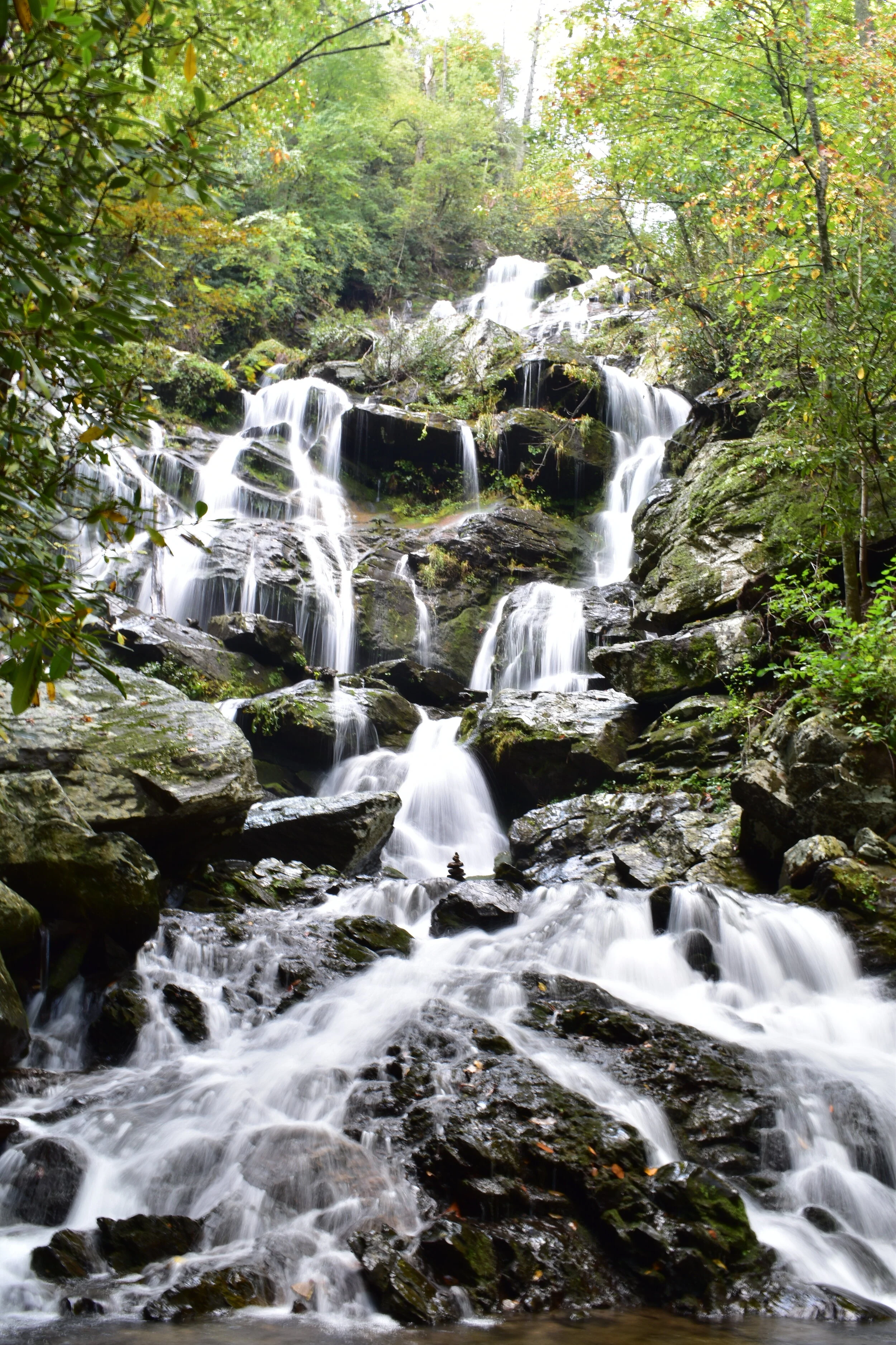 Adventures at an arm's length