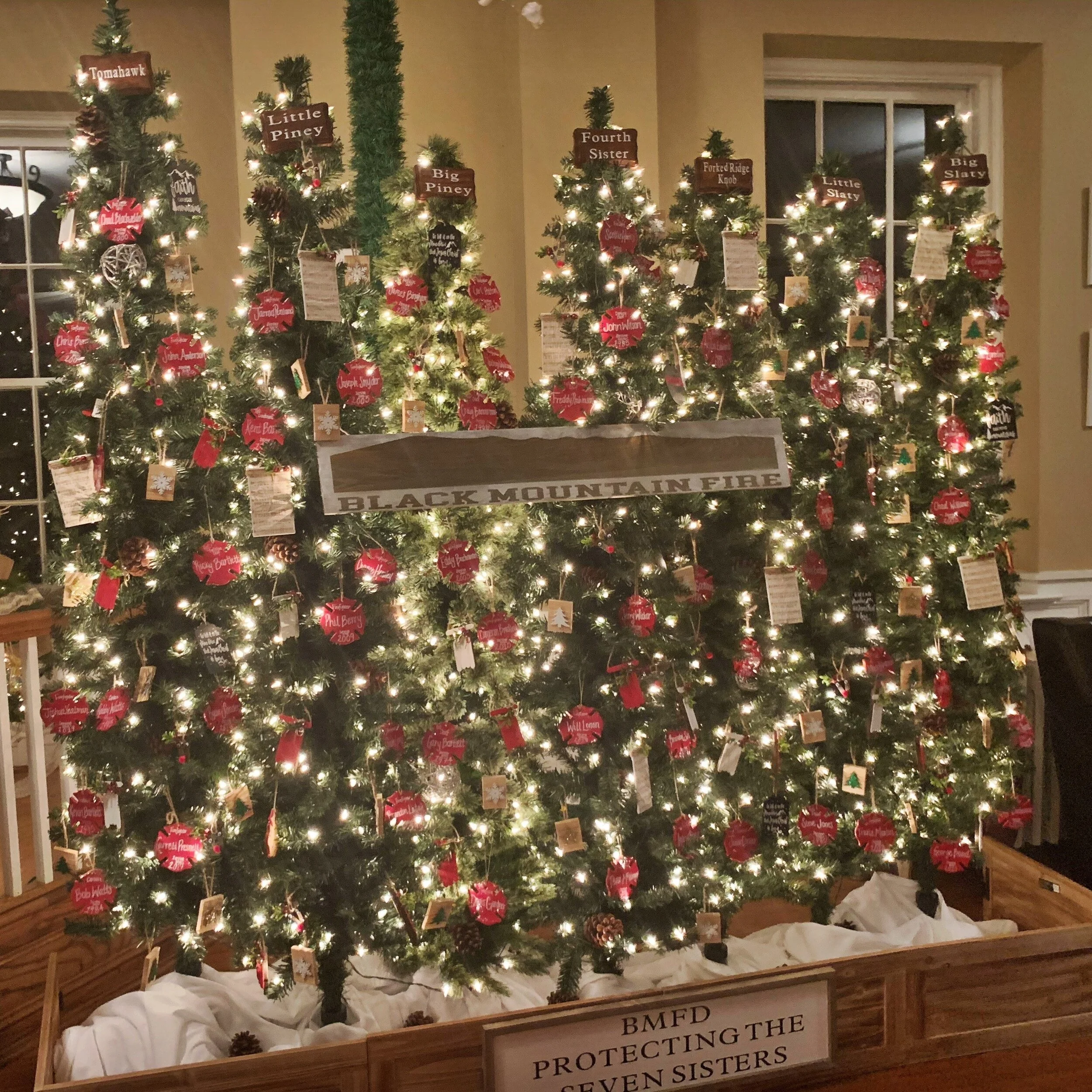 Deck the Trees to spread light and warmth in dark times 