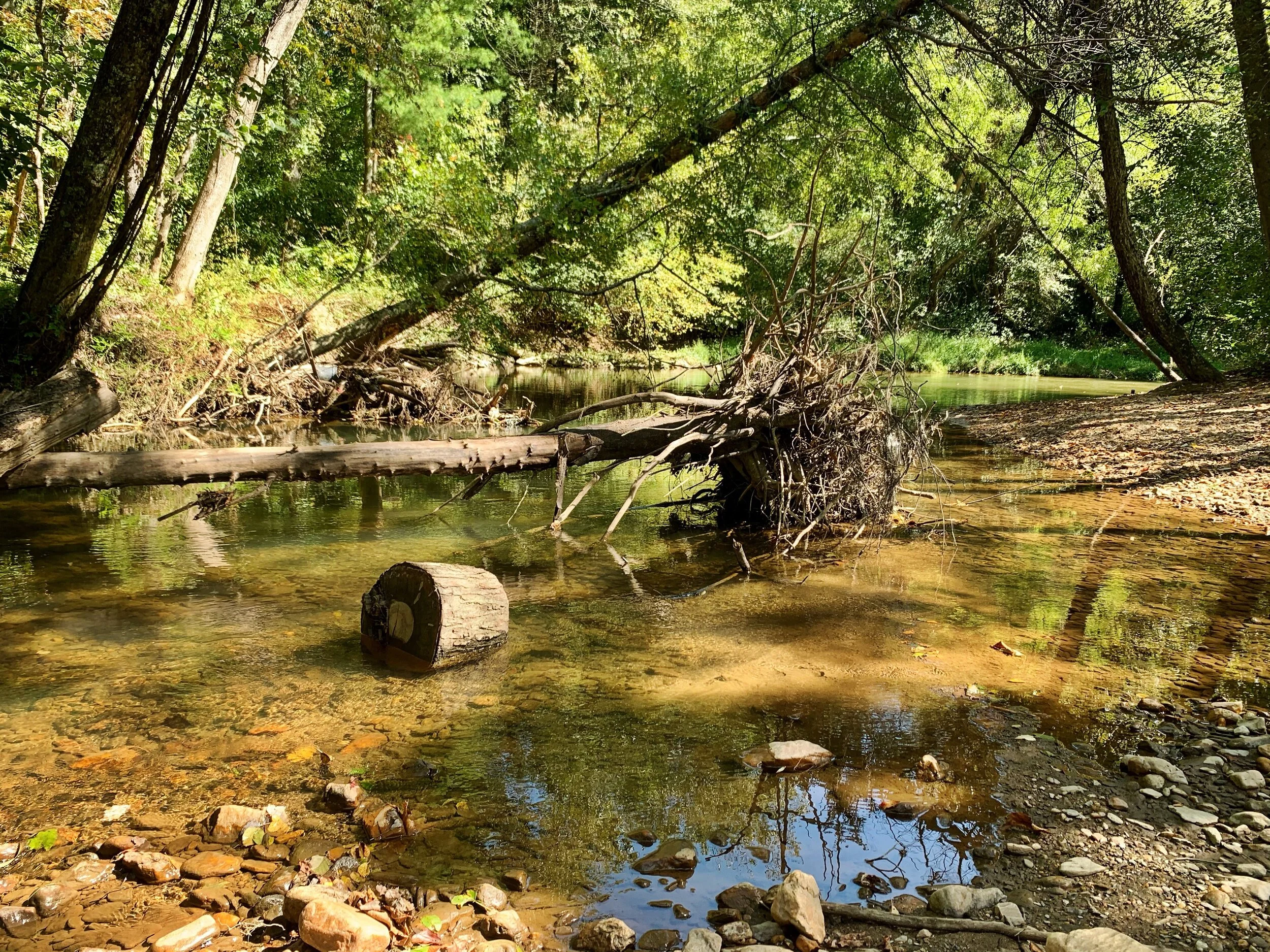 Town of Black Mountain receives grant to fund Swannanoa River restoration