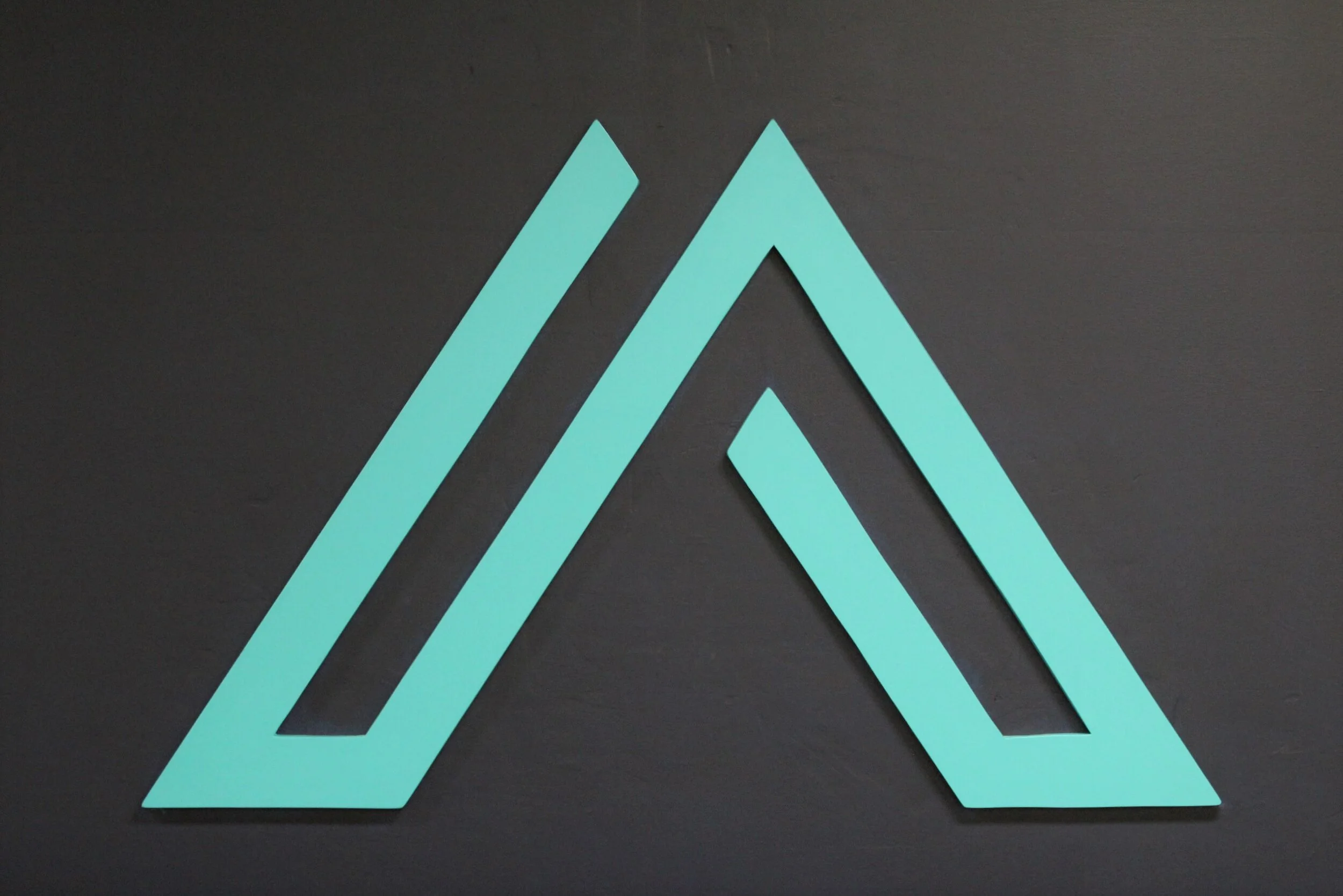 Asheville Christian Academy women's basketball takes two in Charlotte