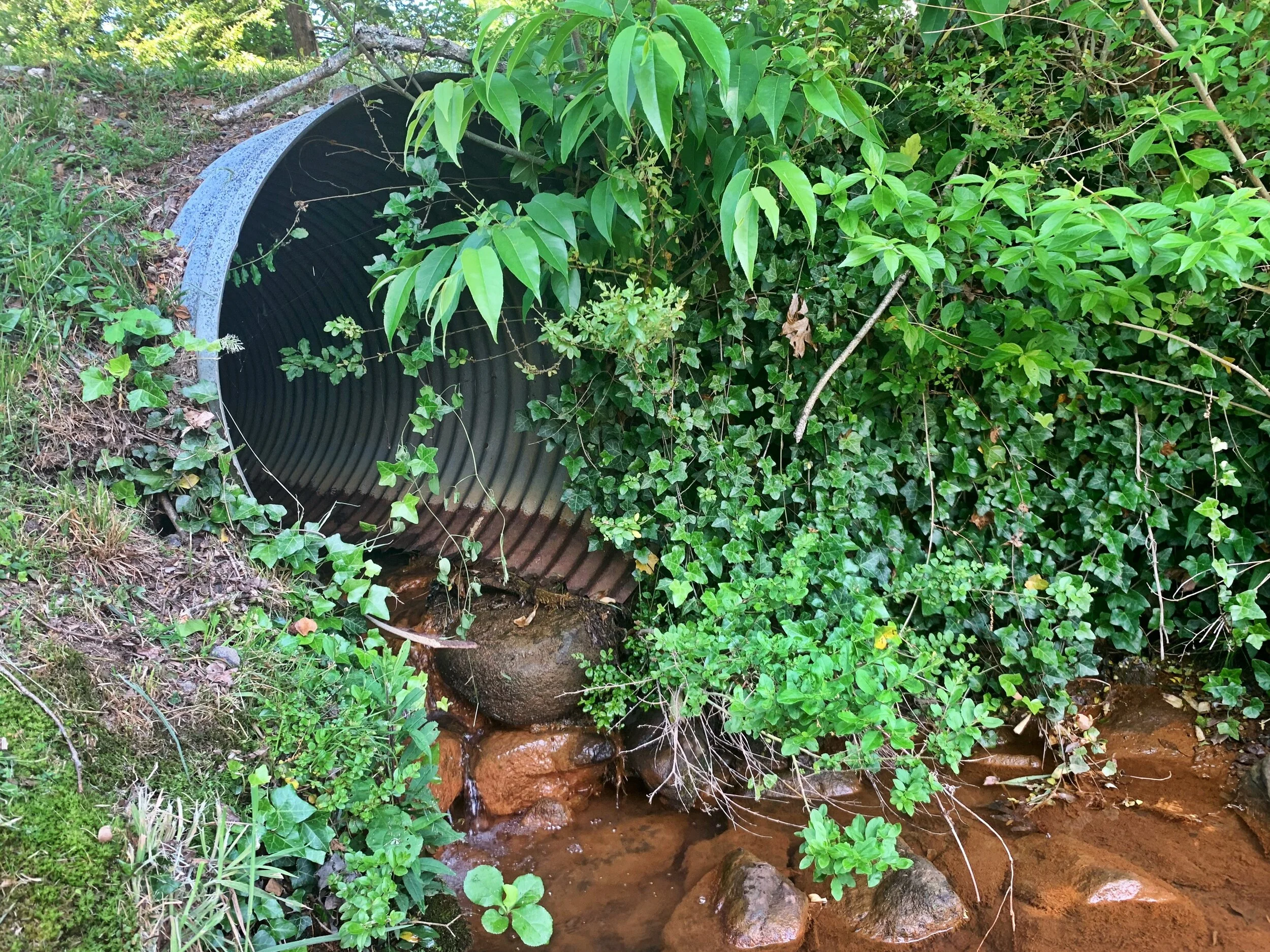 Town of Black Mountain considering stormwater utility