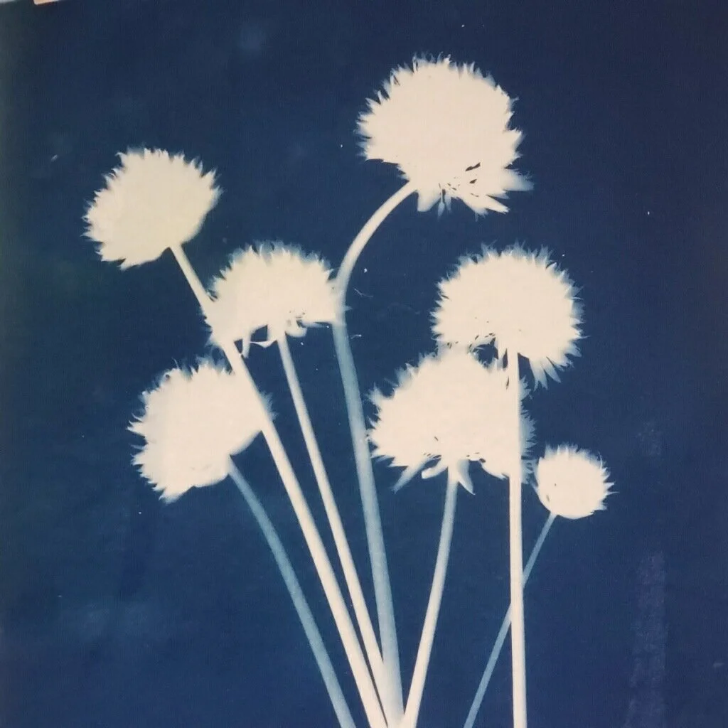 BMCA launches a pair of new September workshops