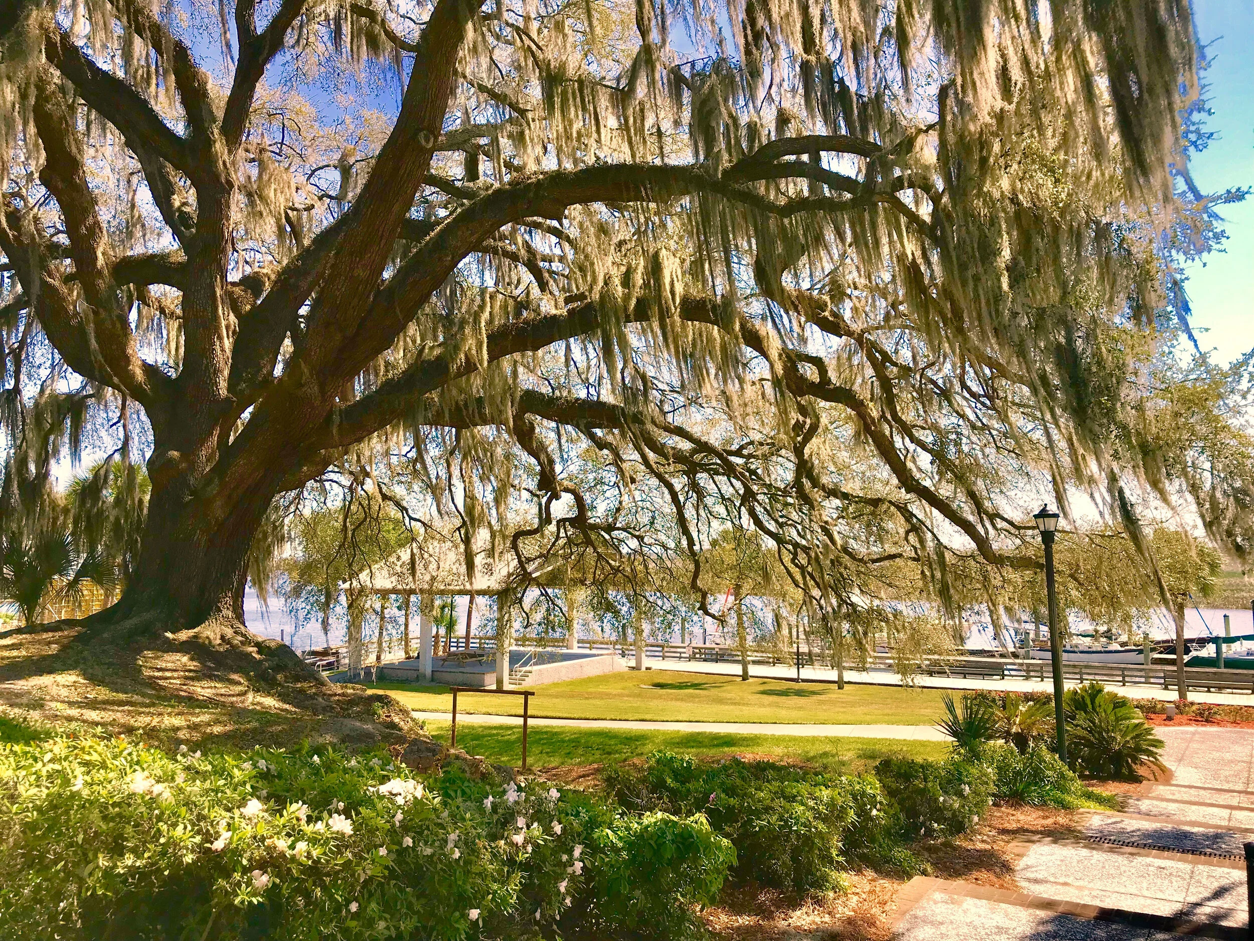 Through the lens of the Red House Photographers 